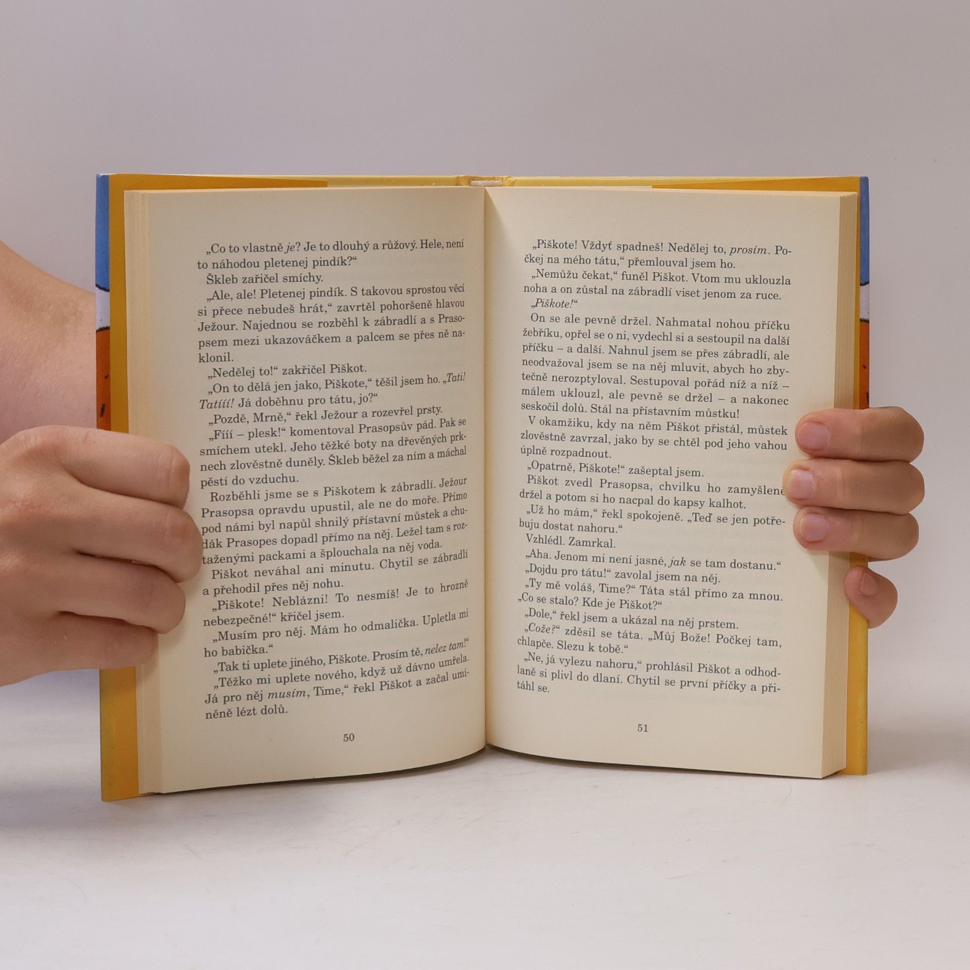 Jacqueline Wilson Pohřben za živa. Z Timova deníku
