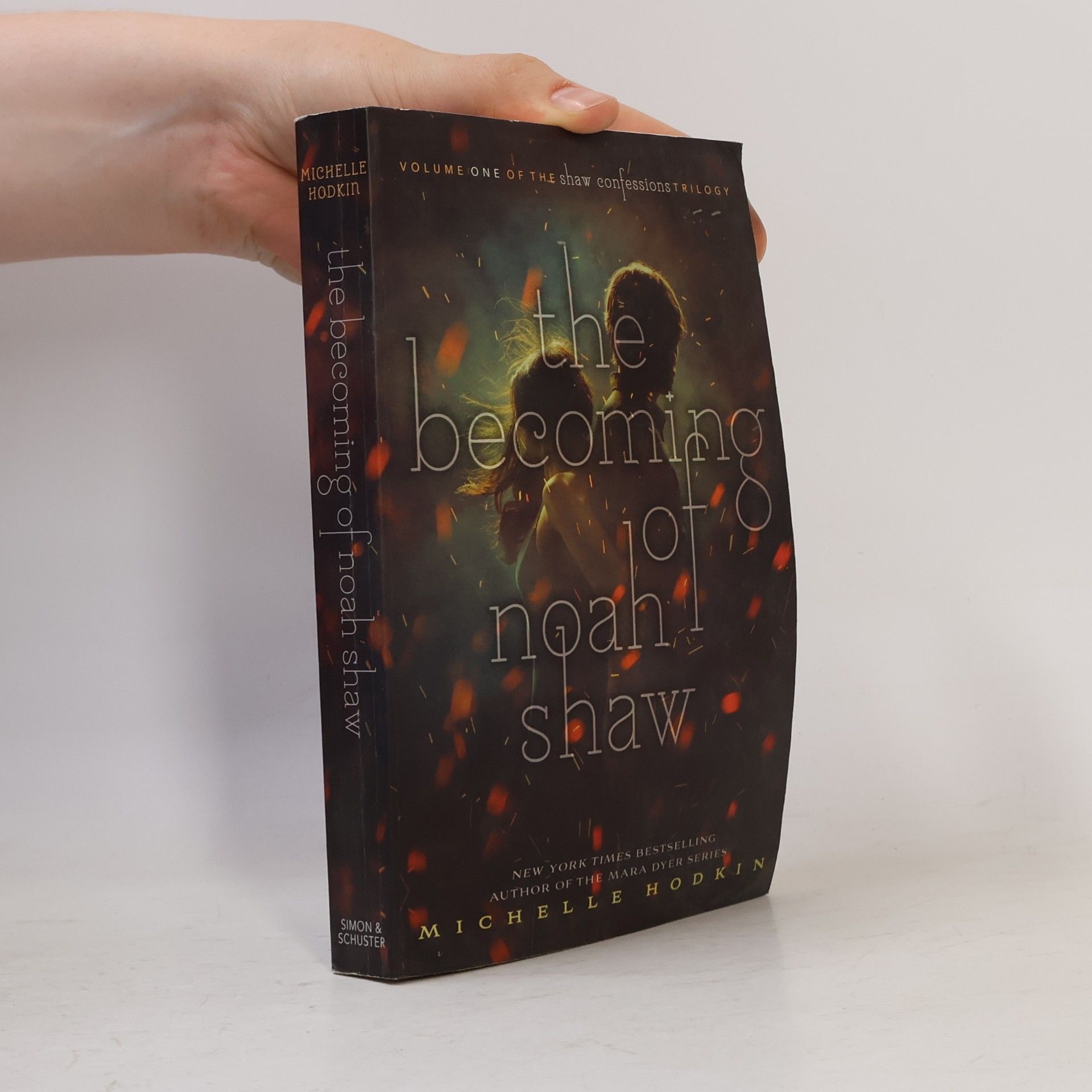 Michelle Hodkin The becoming of Noah Shaw