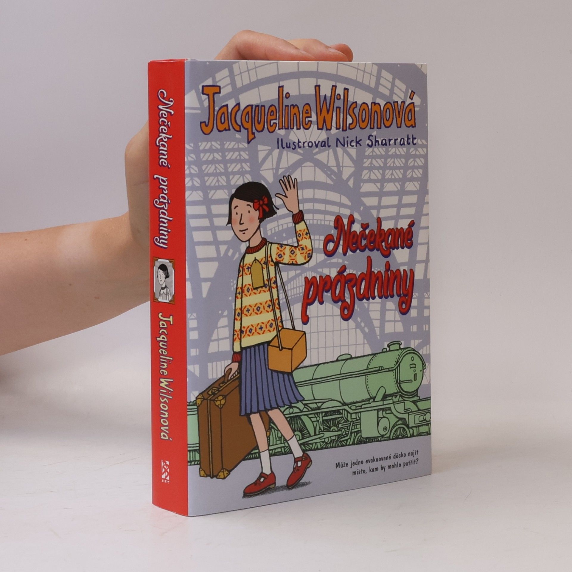 Jacqueline Wilson Nečekané prázdniny