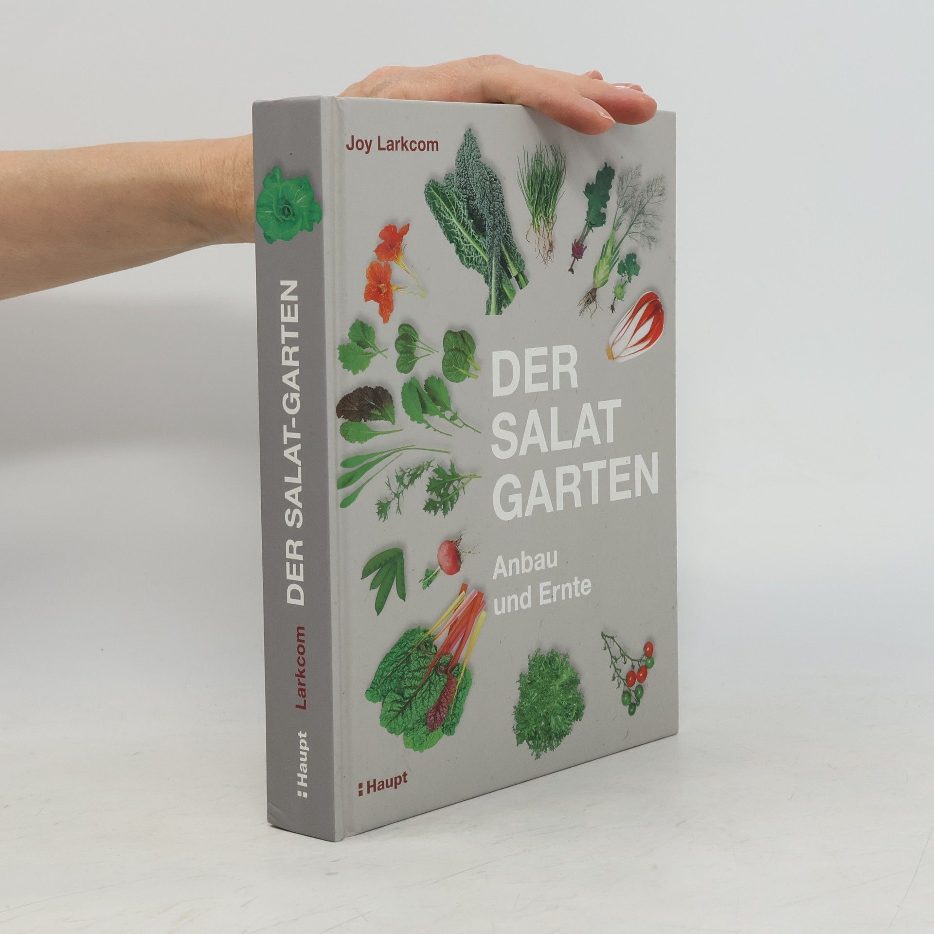 Joy Larkcom Der Salat-Garten
