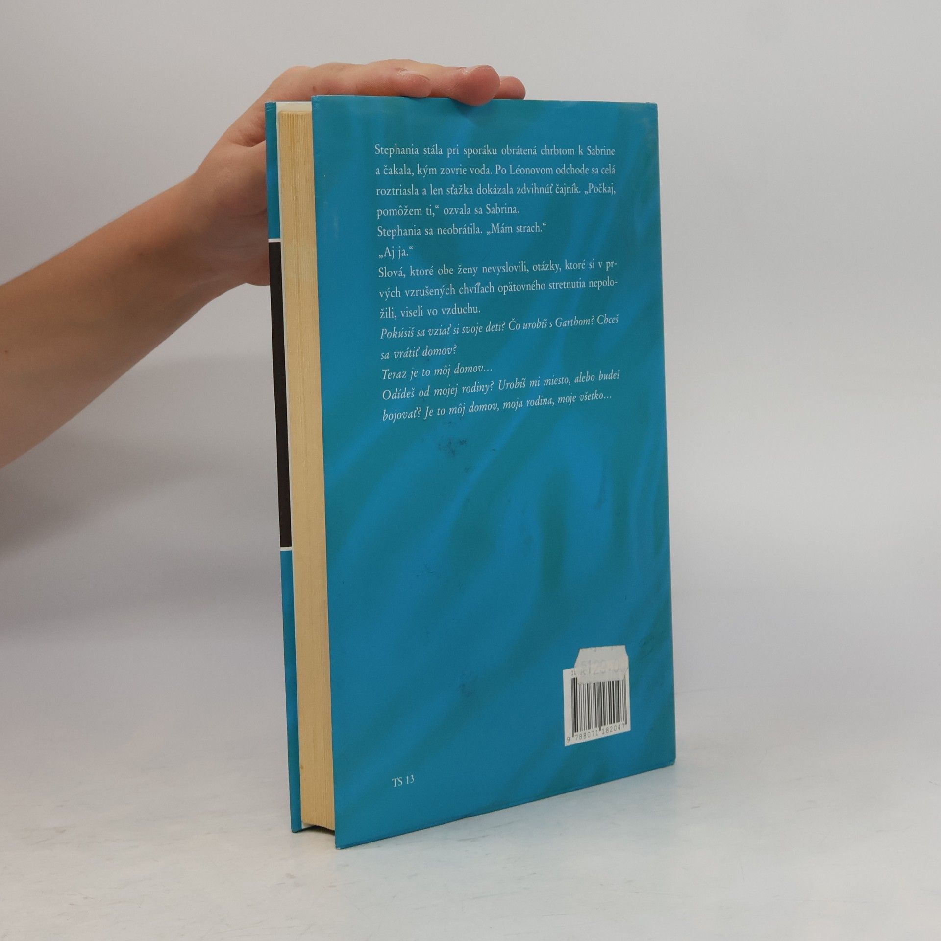 Judith Michael Sabrina a Stephania (pokračování bestselleru Podvody)