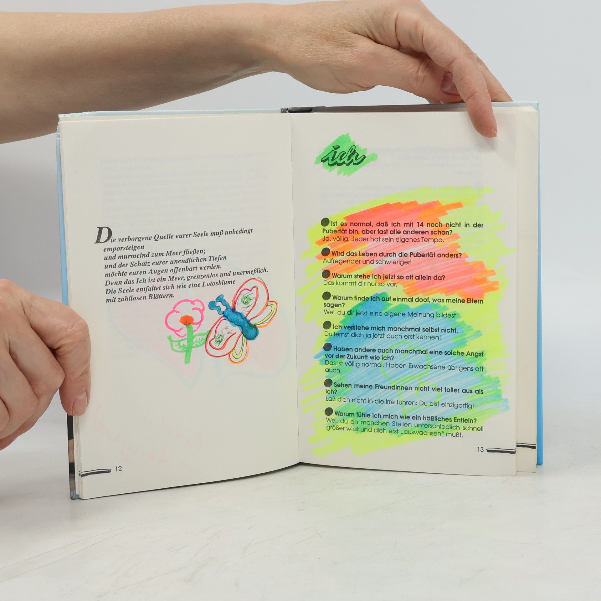 Sylvia Schneider Das Mädchen Fragebuch