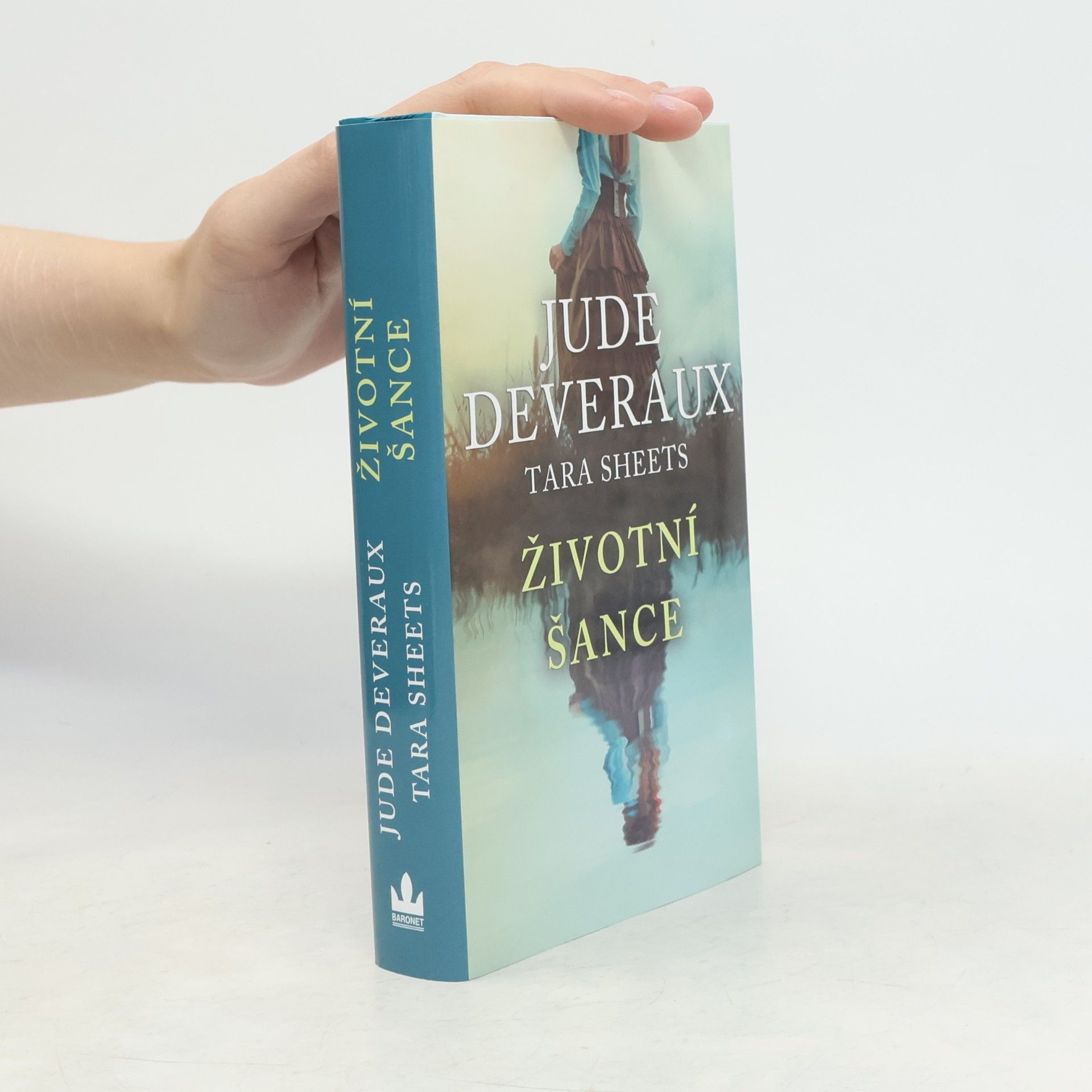 Jude Deveraux Životní šance