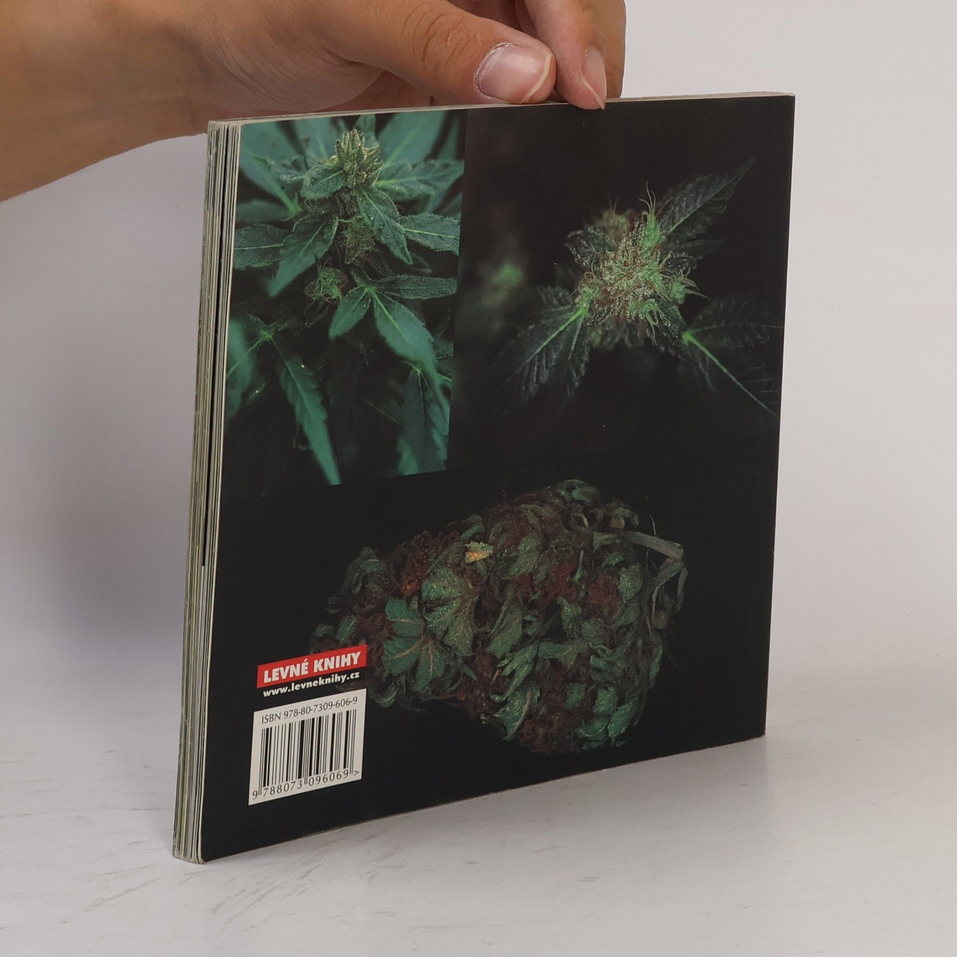 Jason King Cannabible