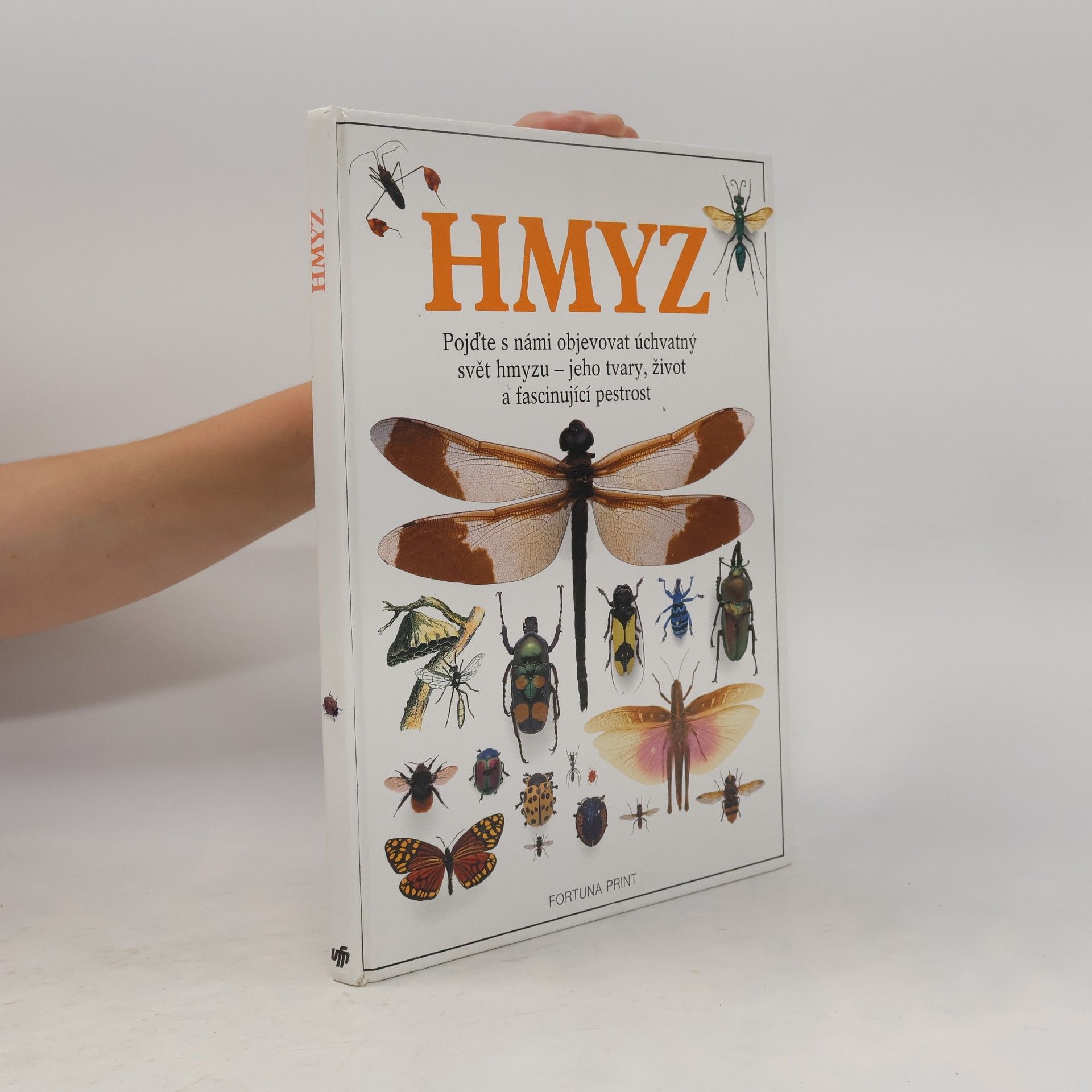 Hmyz