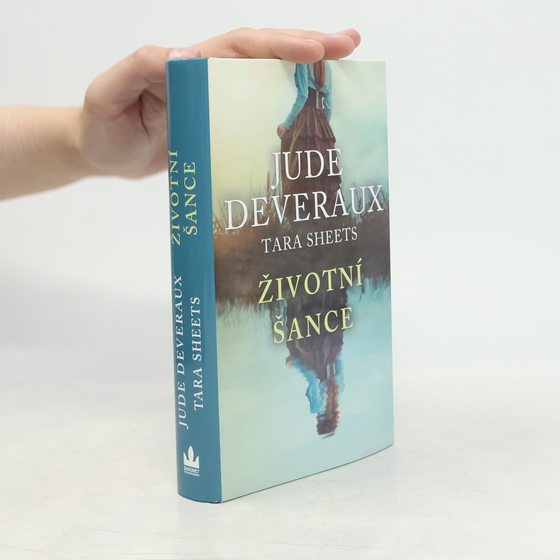 Jude Deveraux Životní šance