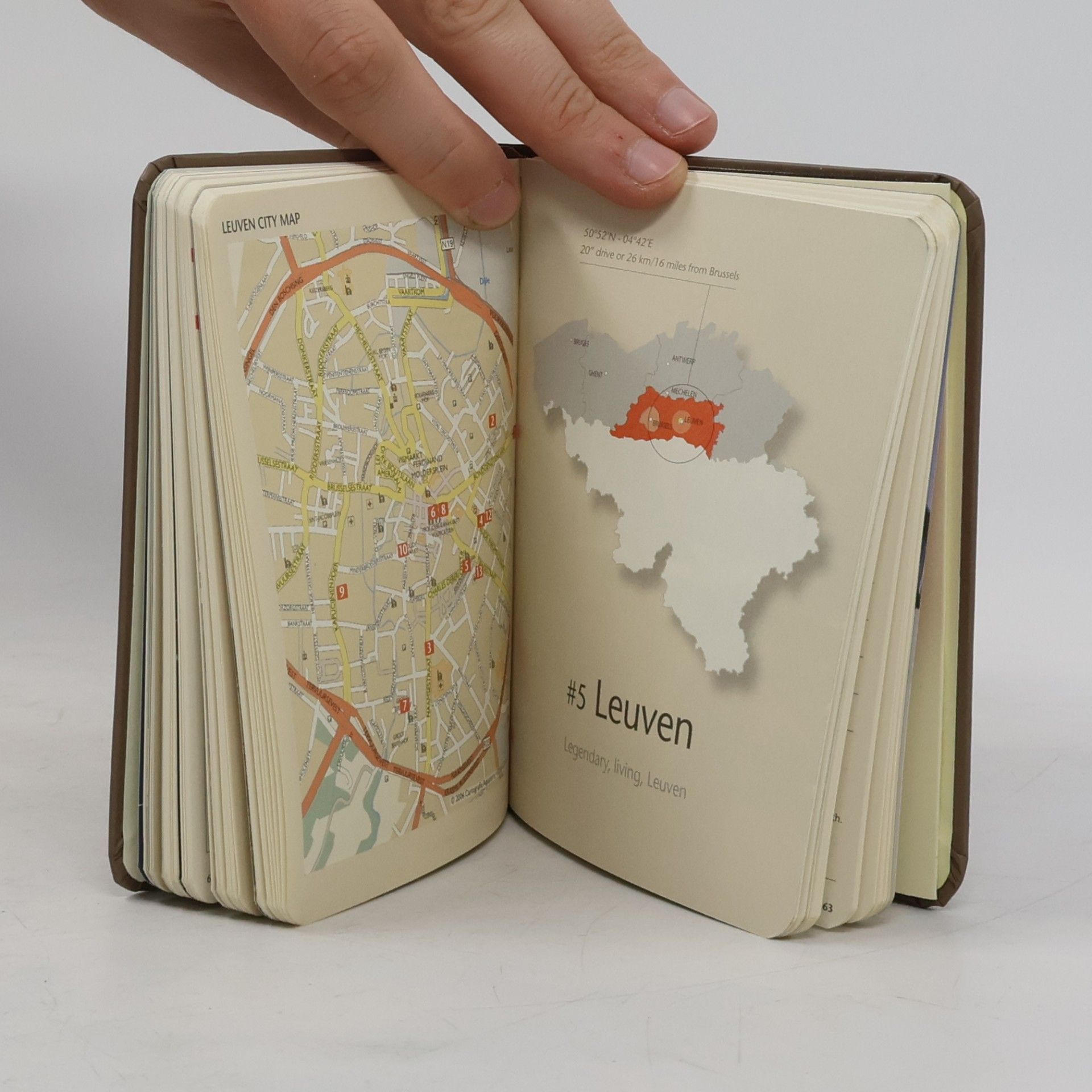 Abby Morton Diaz Flanders' Six Divine Cities