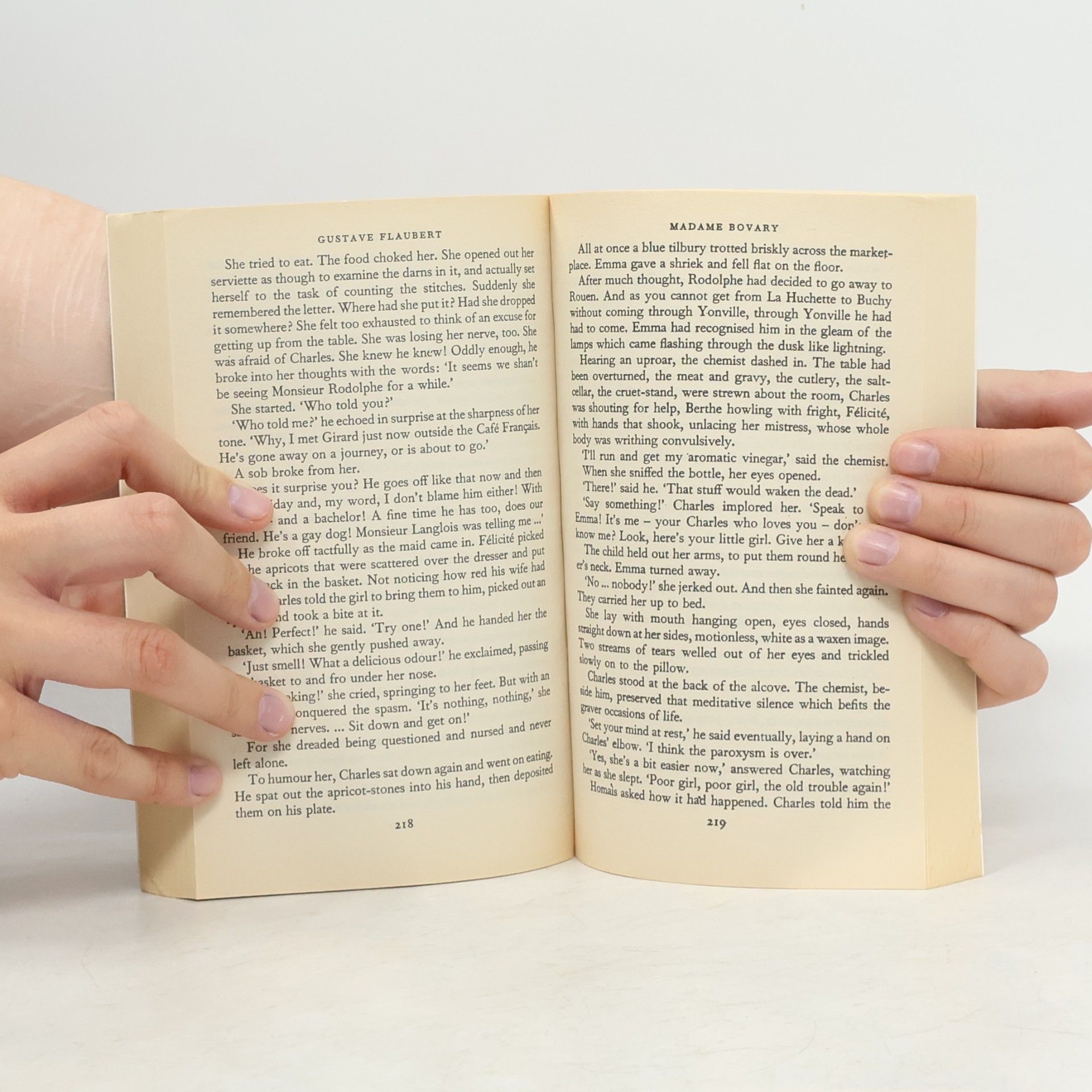 Gustave Flaubert Madame Bovary