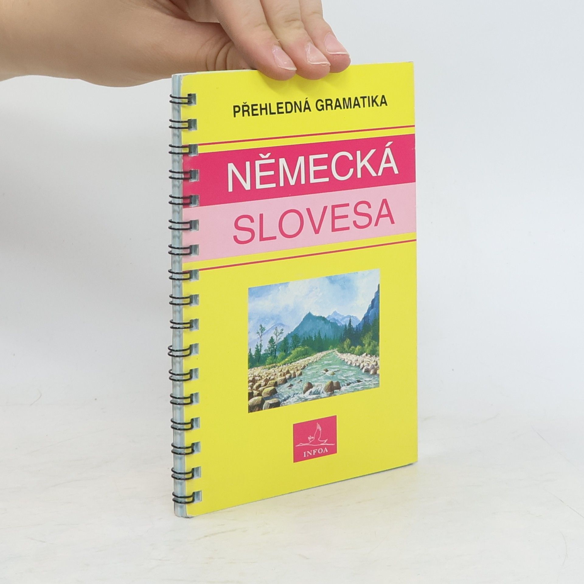 Autorenkollektiv Německá slovesa : přehledná gramatika