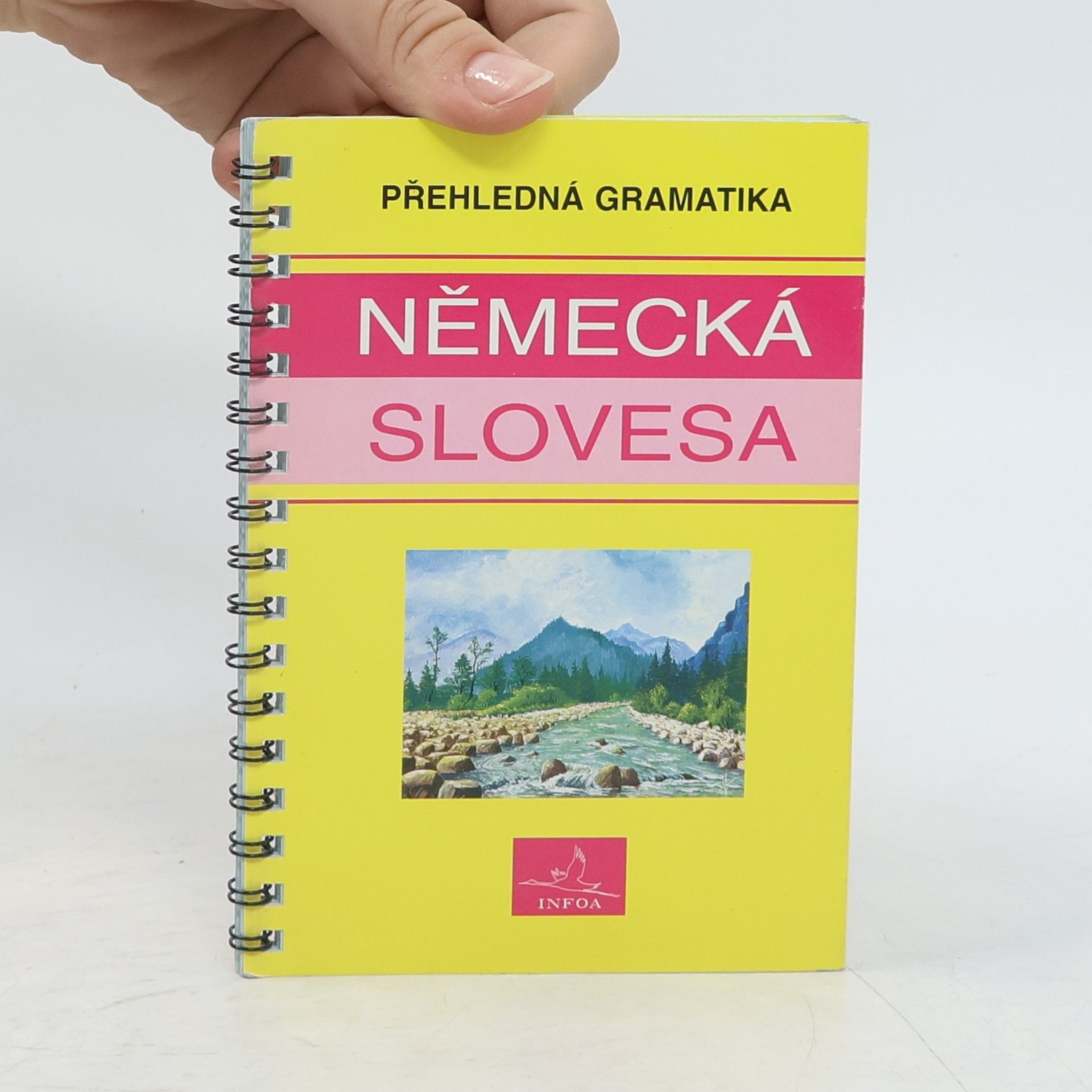 Autorenkollektiv Německá slovesa : přehledná gramatika