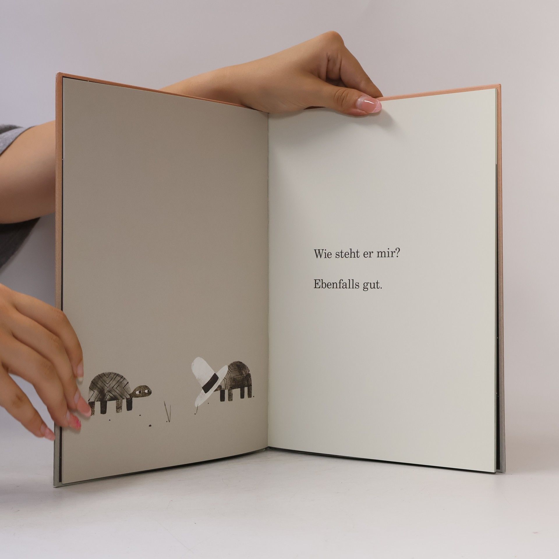Jon Klassen Wir haben einen Hut
