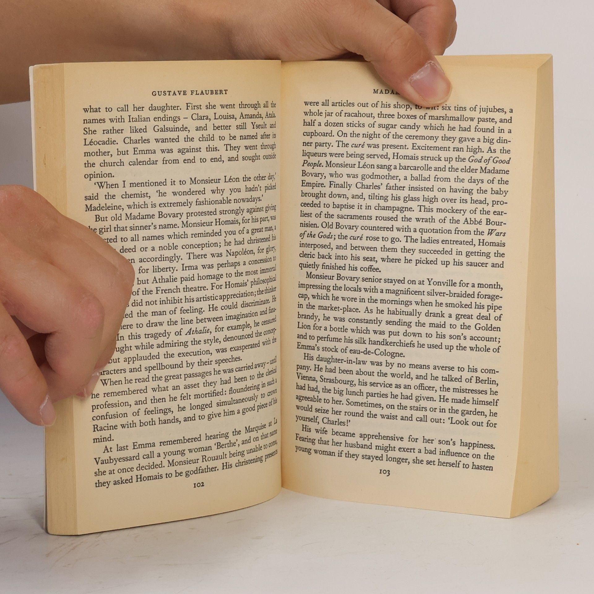 Gustave Flaubert Madame Bovary