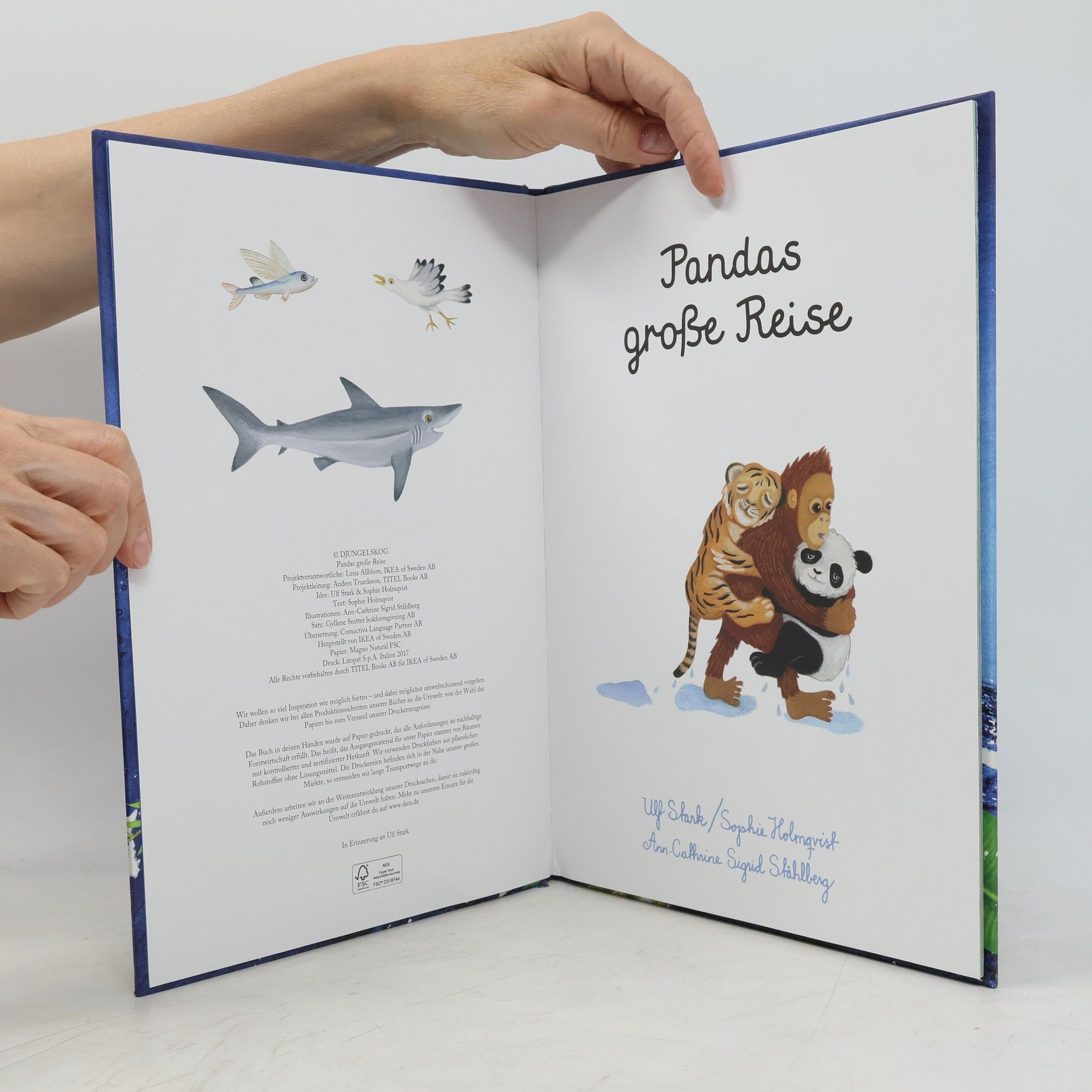 Ulf Stark Pandas große Reise