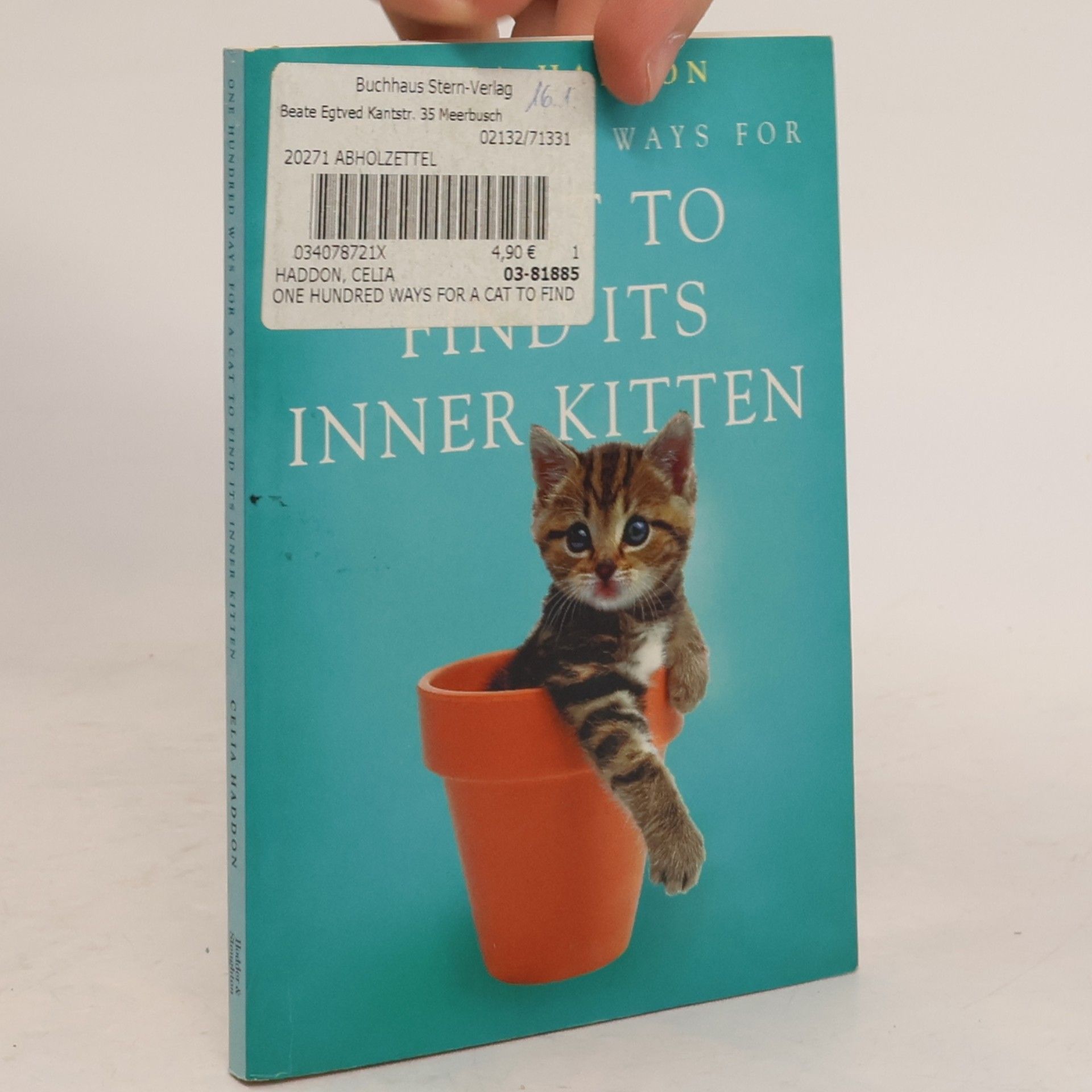 One Hundred Ways for a Cat to Find Its Inner-Kitten