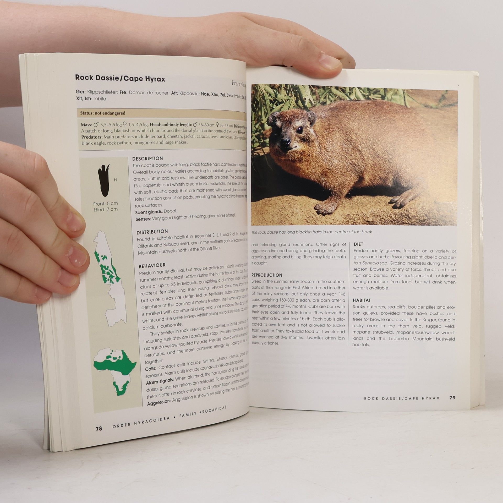Heike Schütze Field Guide to the Mammals of the Kruger National Park