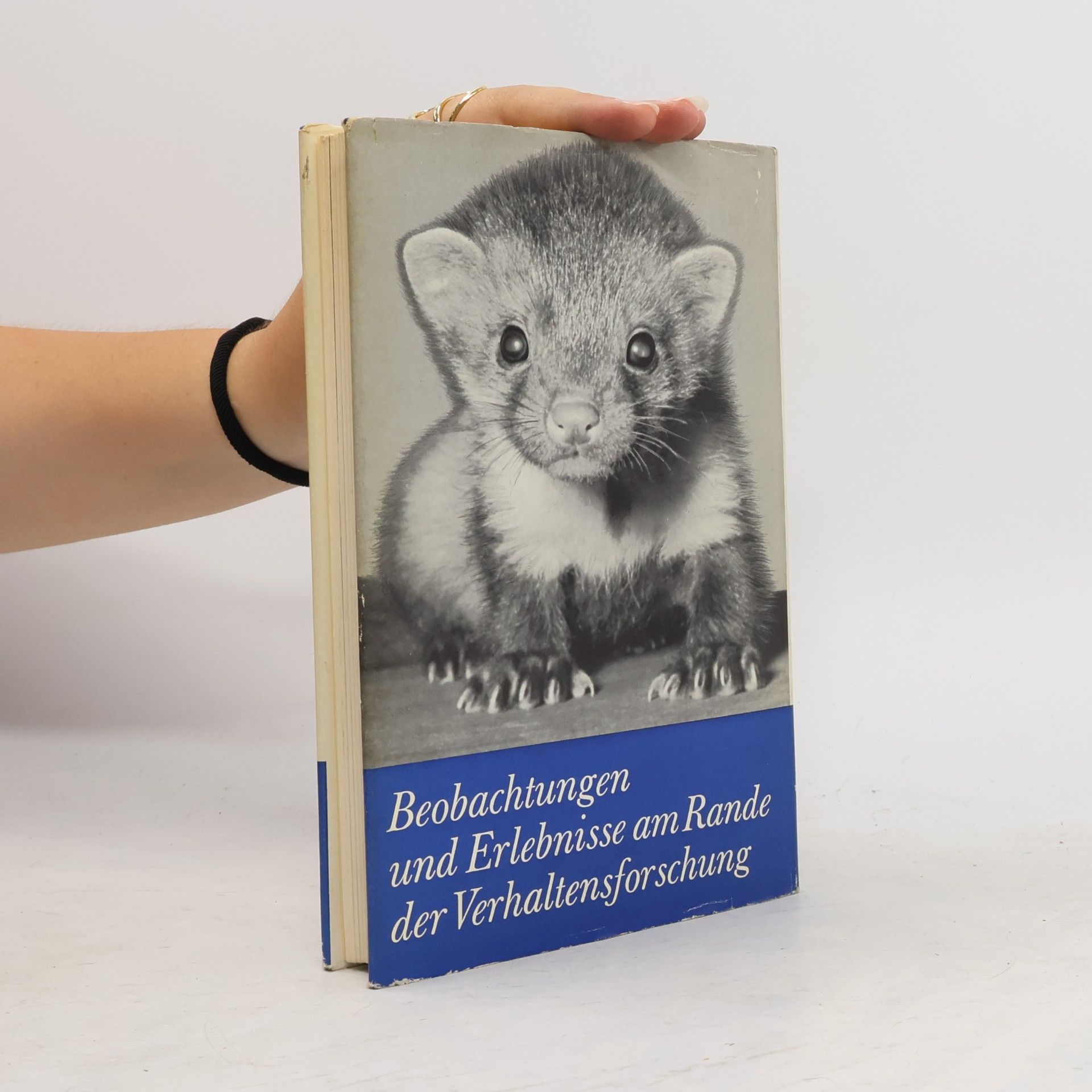 Hans Löhrl Tiere und wir