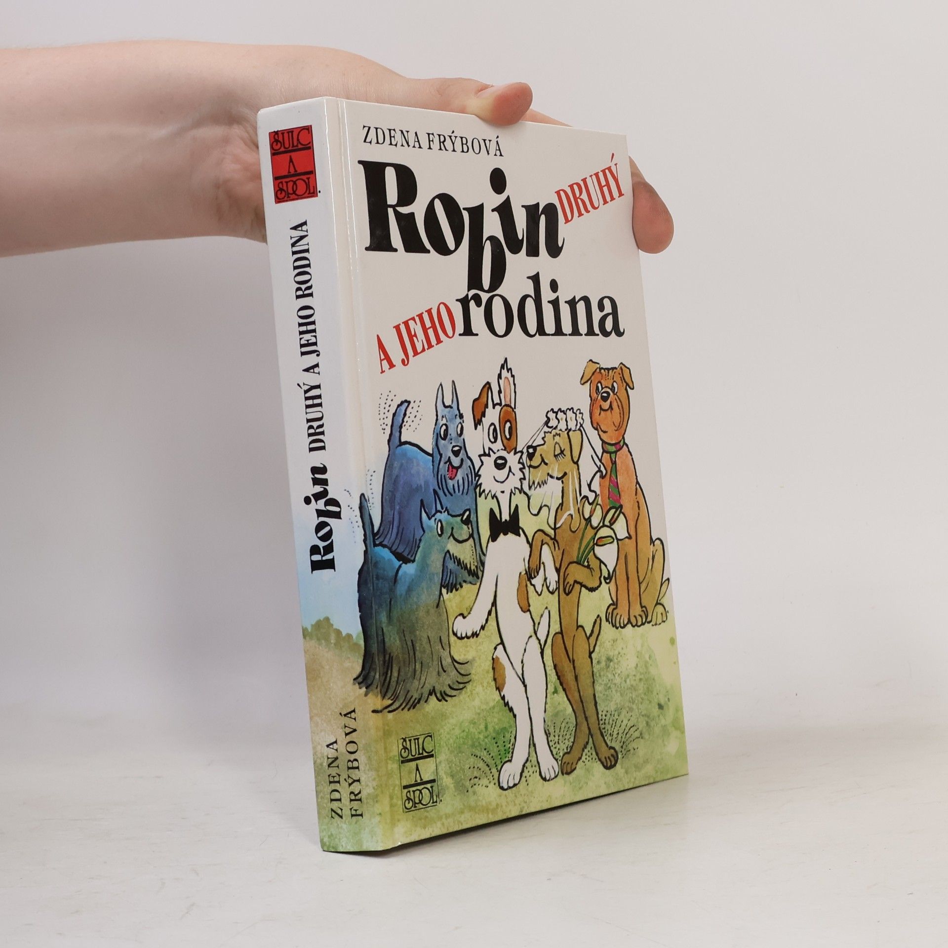 Zdena Frýbová Robin Druhý a jeho rodina