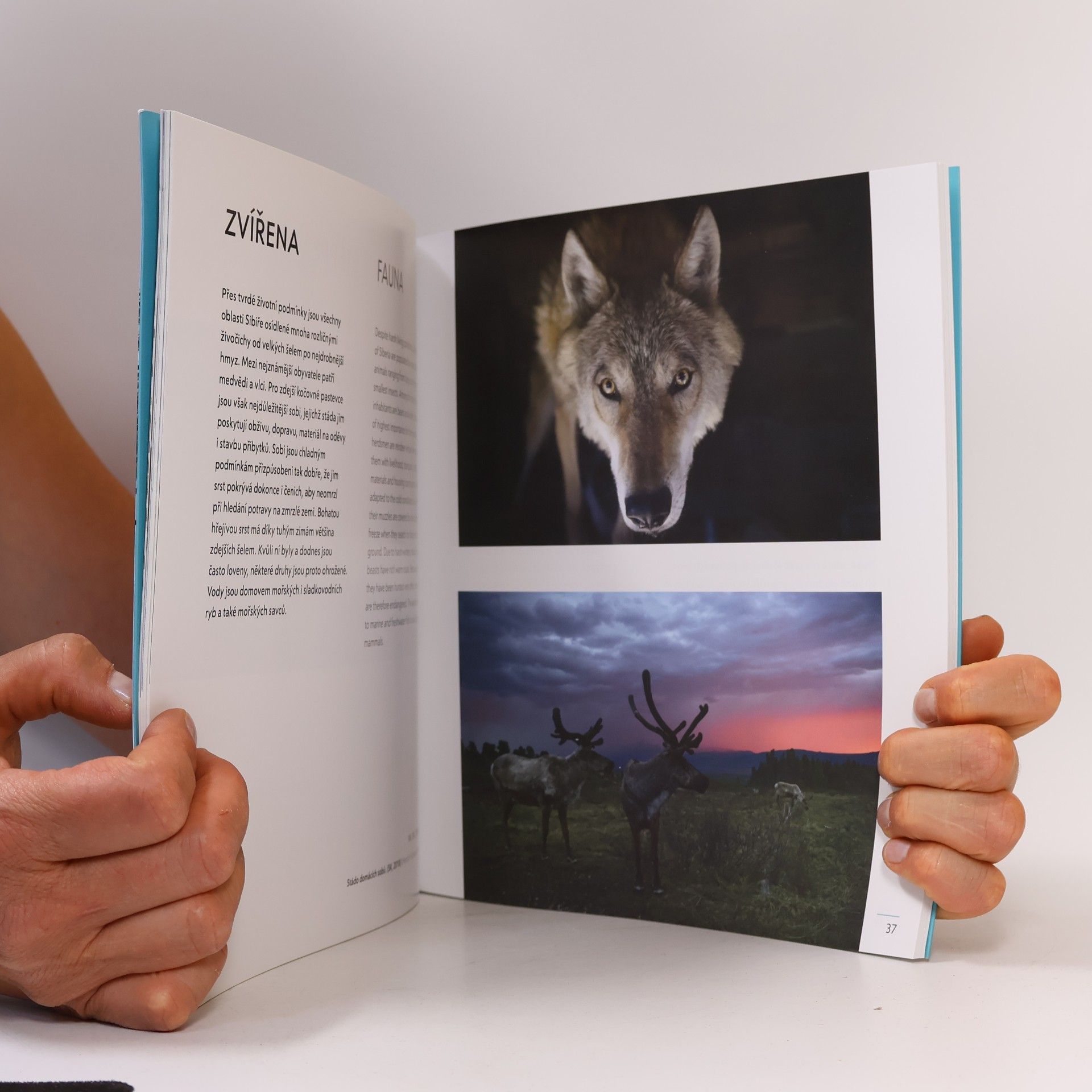 Collectif d'auteurs Doma na Sibiři = At home in Siberia