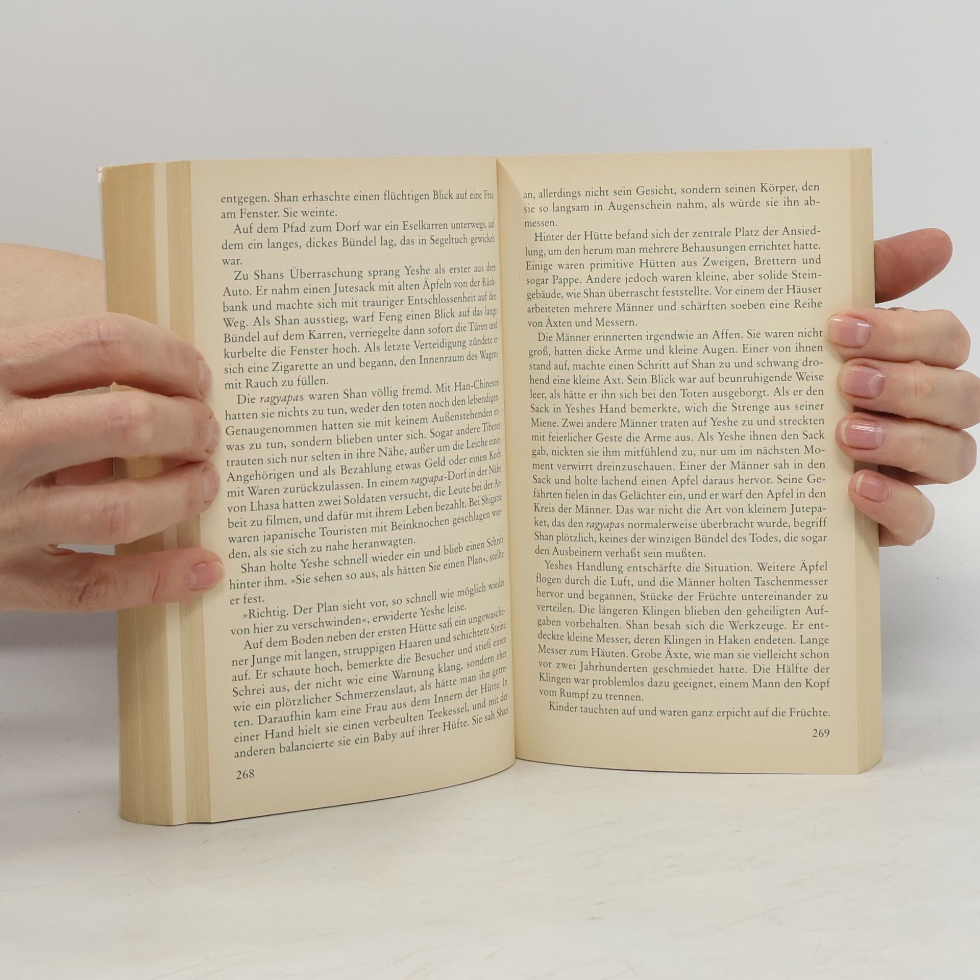Eliot Pattison Der fremde Tibeter