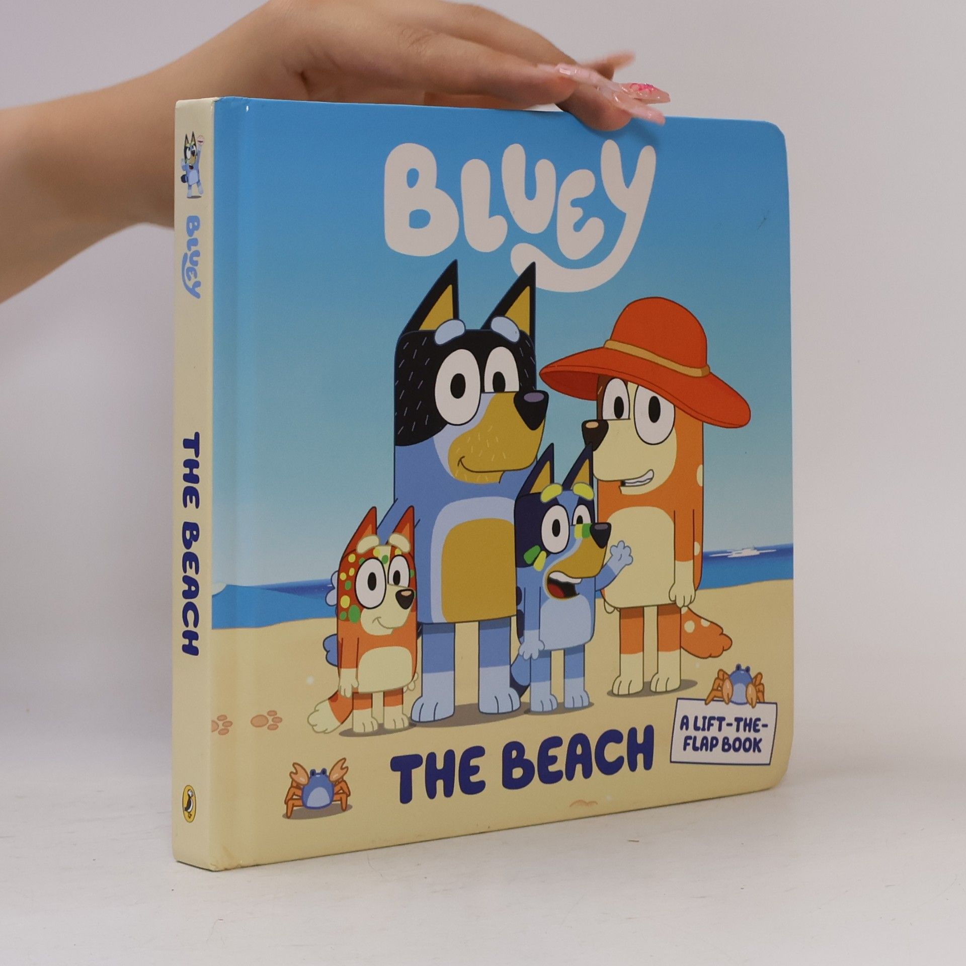 Autorenkollektiv Bluey. The Beach