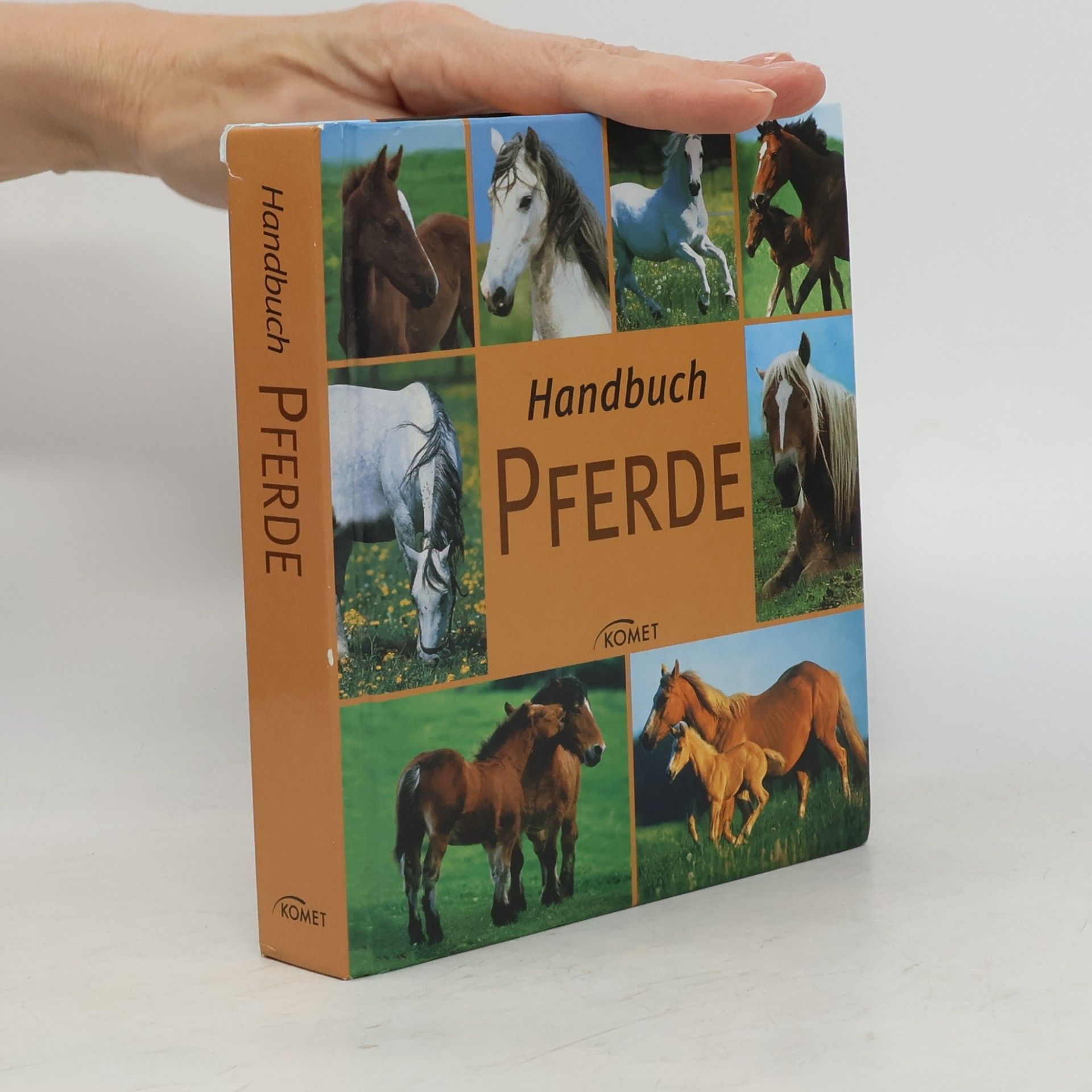 Autorenkollektiv Handbuch Pferde