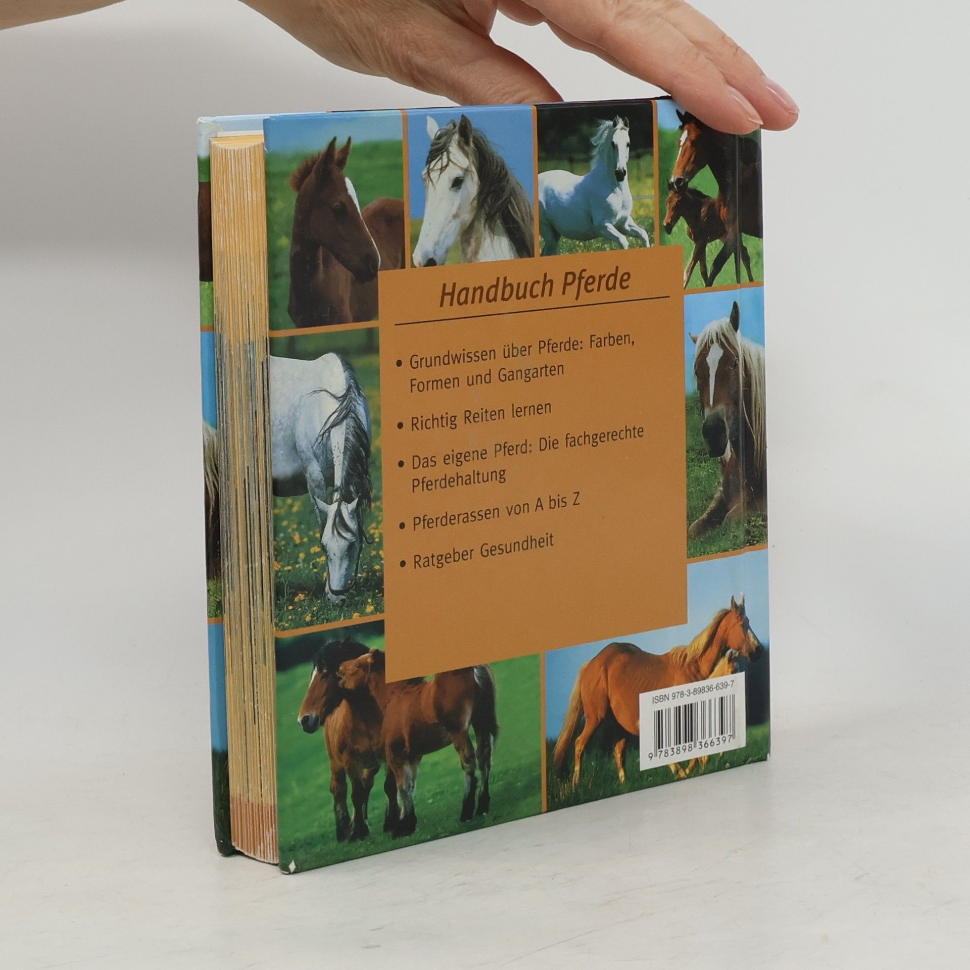 Handbuch Pferde