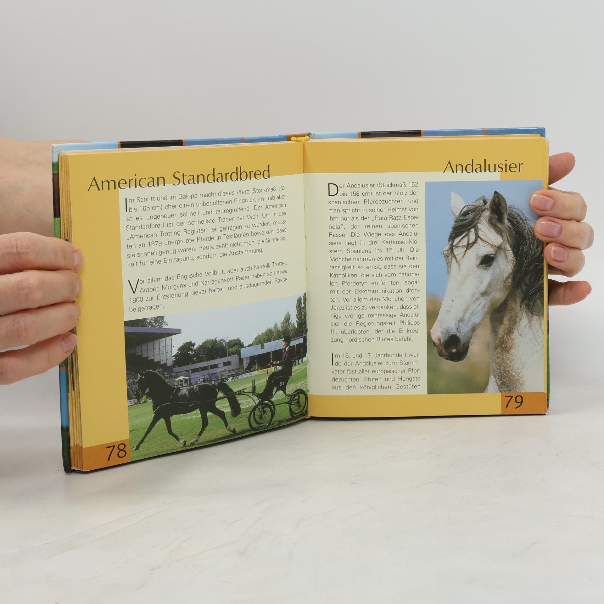 Handbuch Pferde