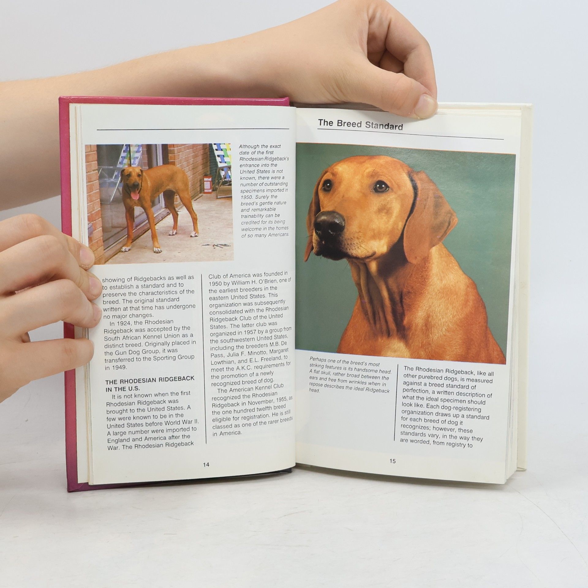 Frank C. Lutman Rhodesian Ridgebacks