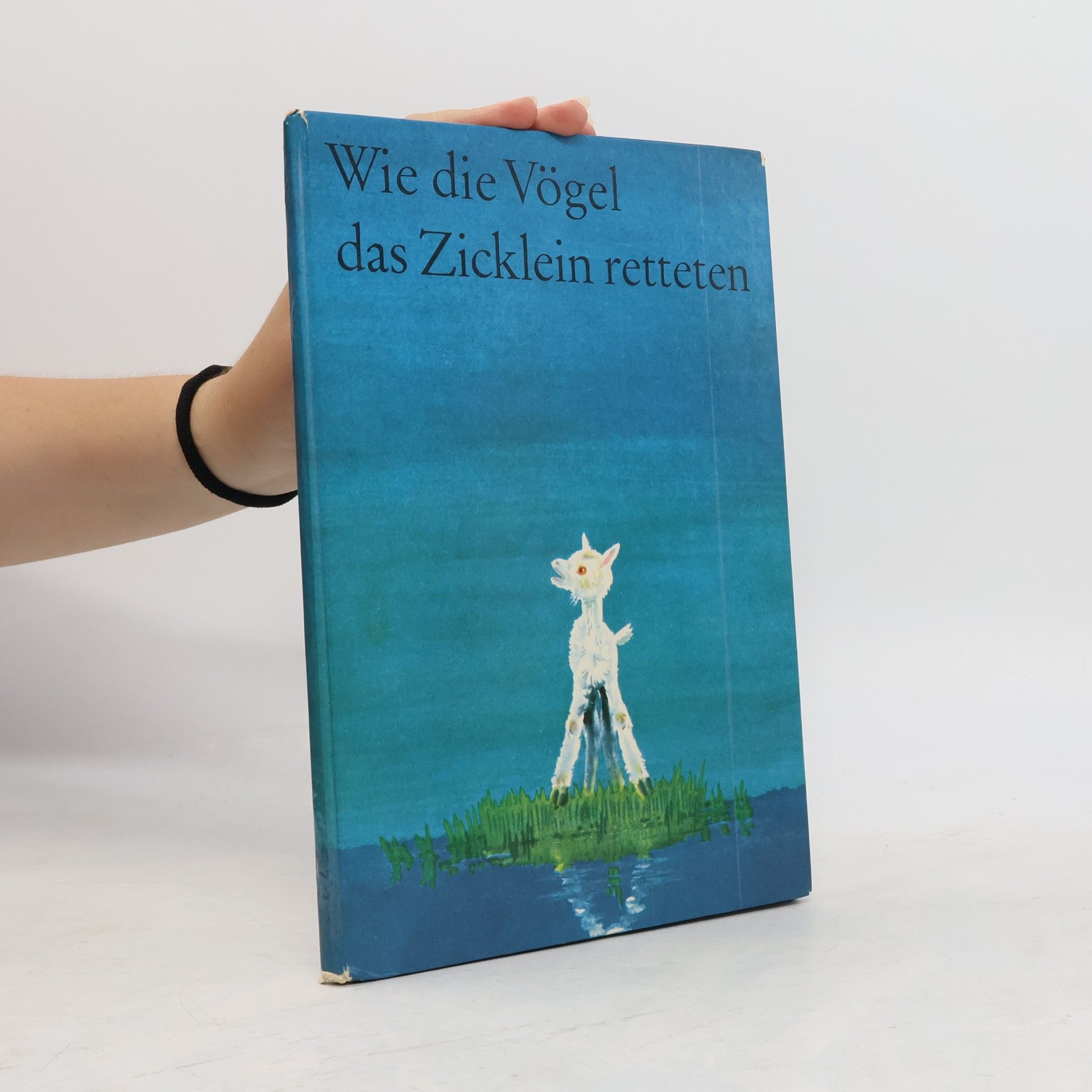 Bernhard Nast Wie die Vögel das Zicklein retteten