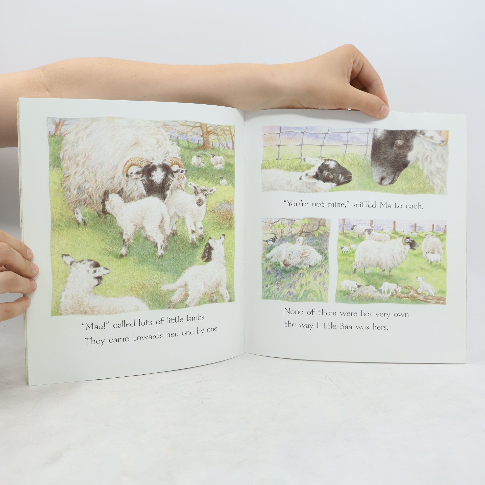 Kim Lewis Little Baa