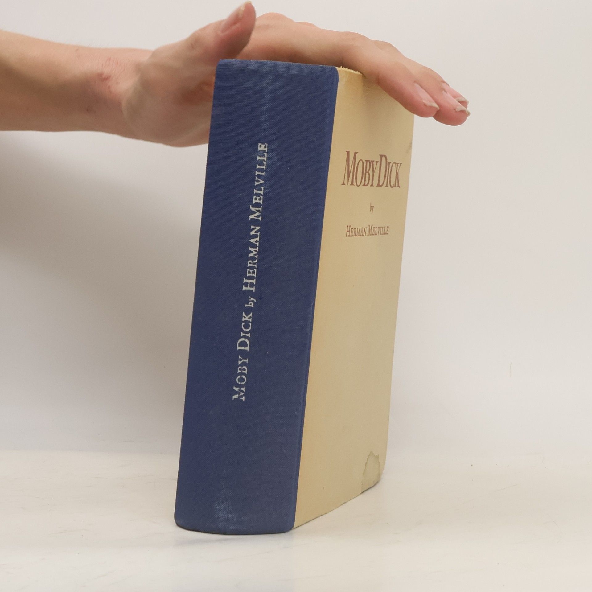 Herman Melville Moby Dick