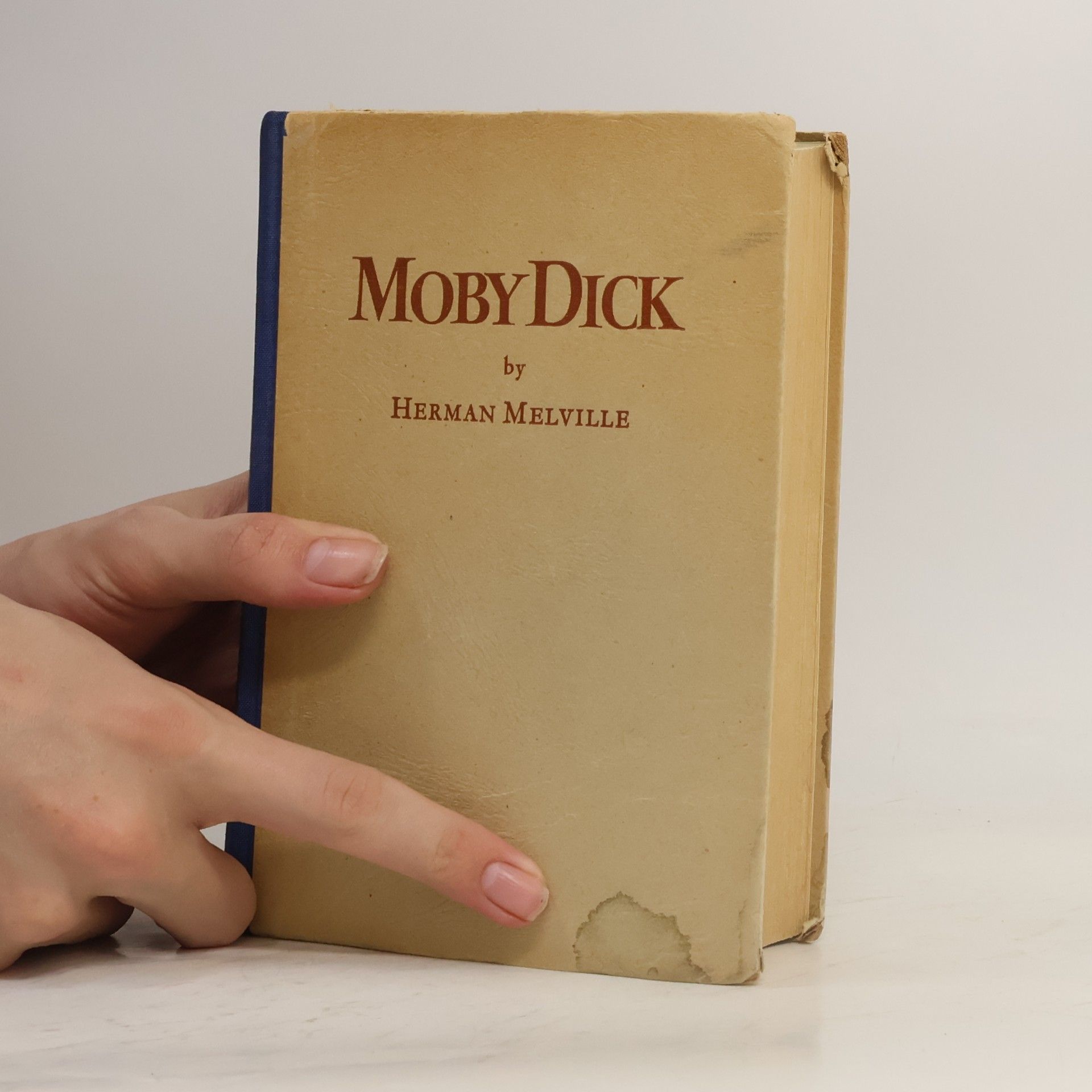 Herman Melville Moby Dick