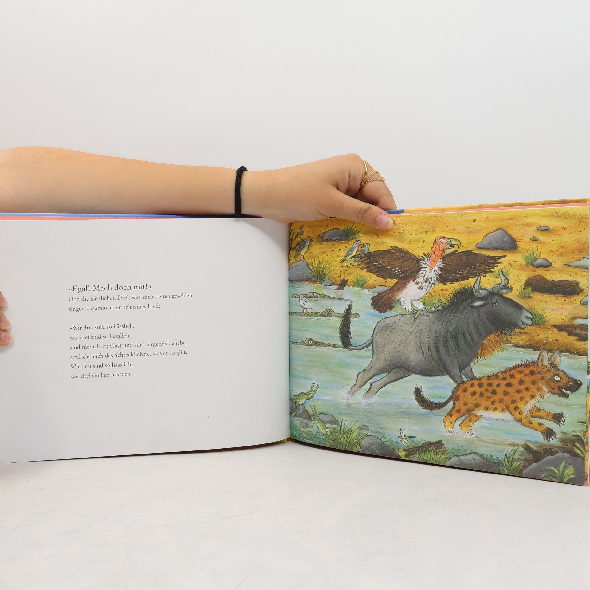 Julia Donaldson Die hässlichen Fünf