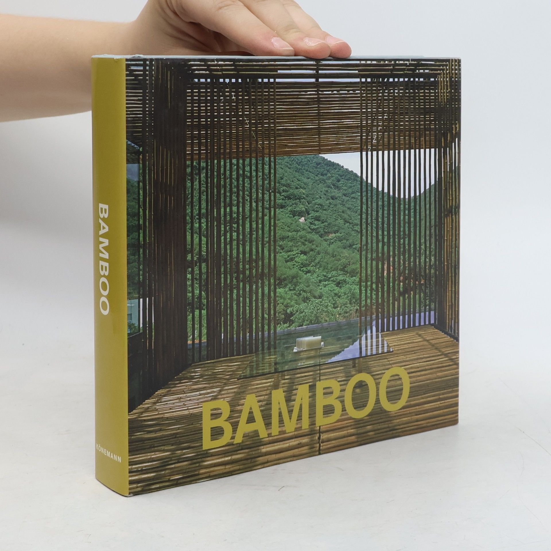 Kolektiv autorů Bamboo