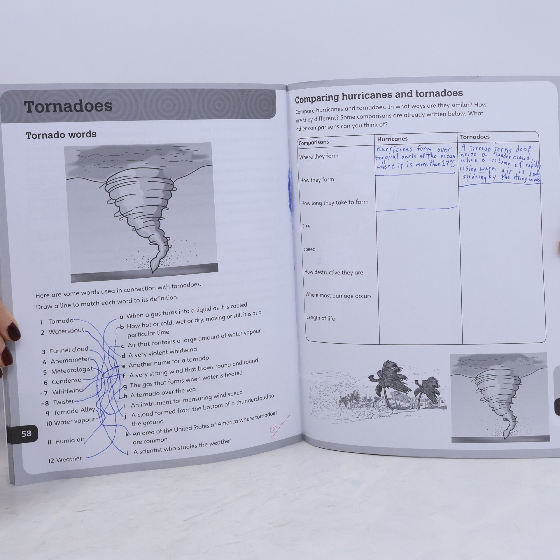 Terry J. Jennings Oxford International Primary Geography: Workbook 5