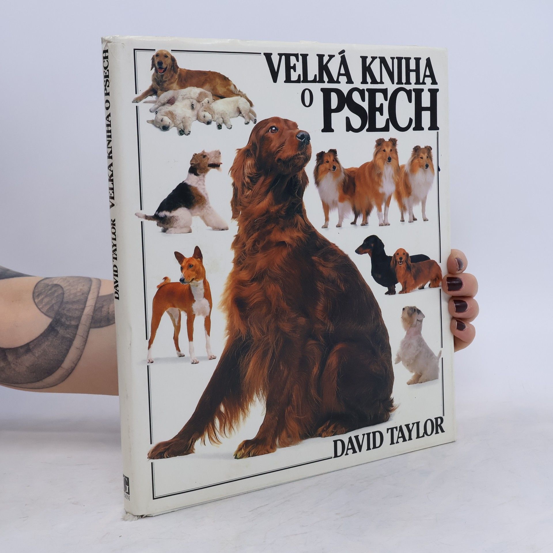 David Taylor Velká kniha o psech
