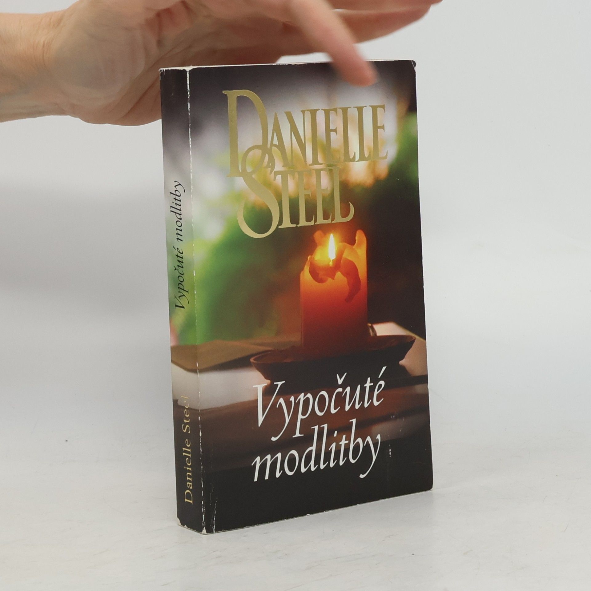 Danielle Steel Vypočuté modlitby