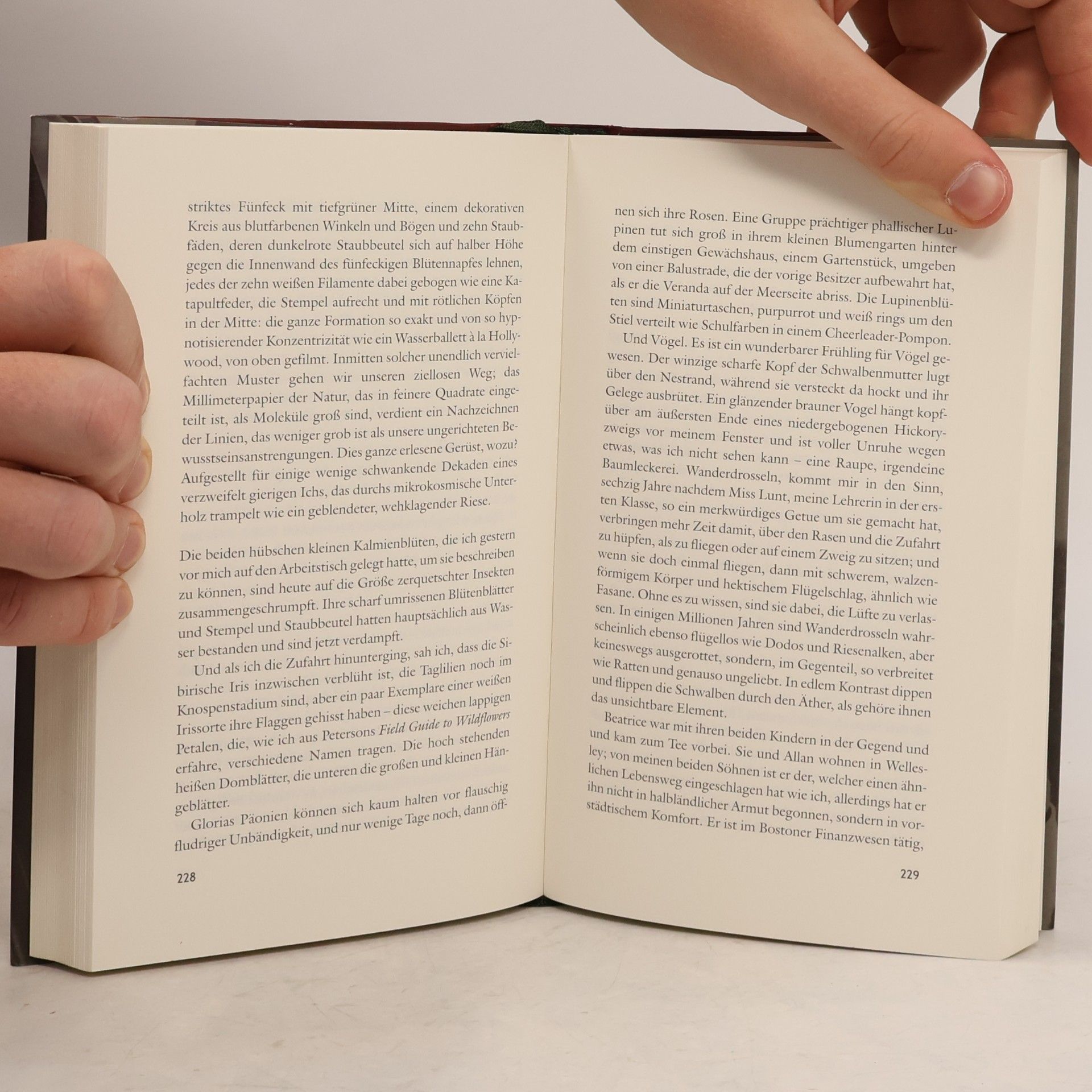 John Updike Gegen Ende der Zeit