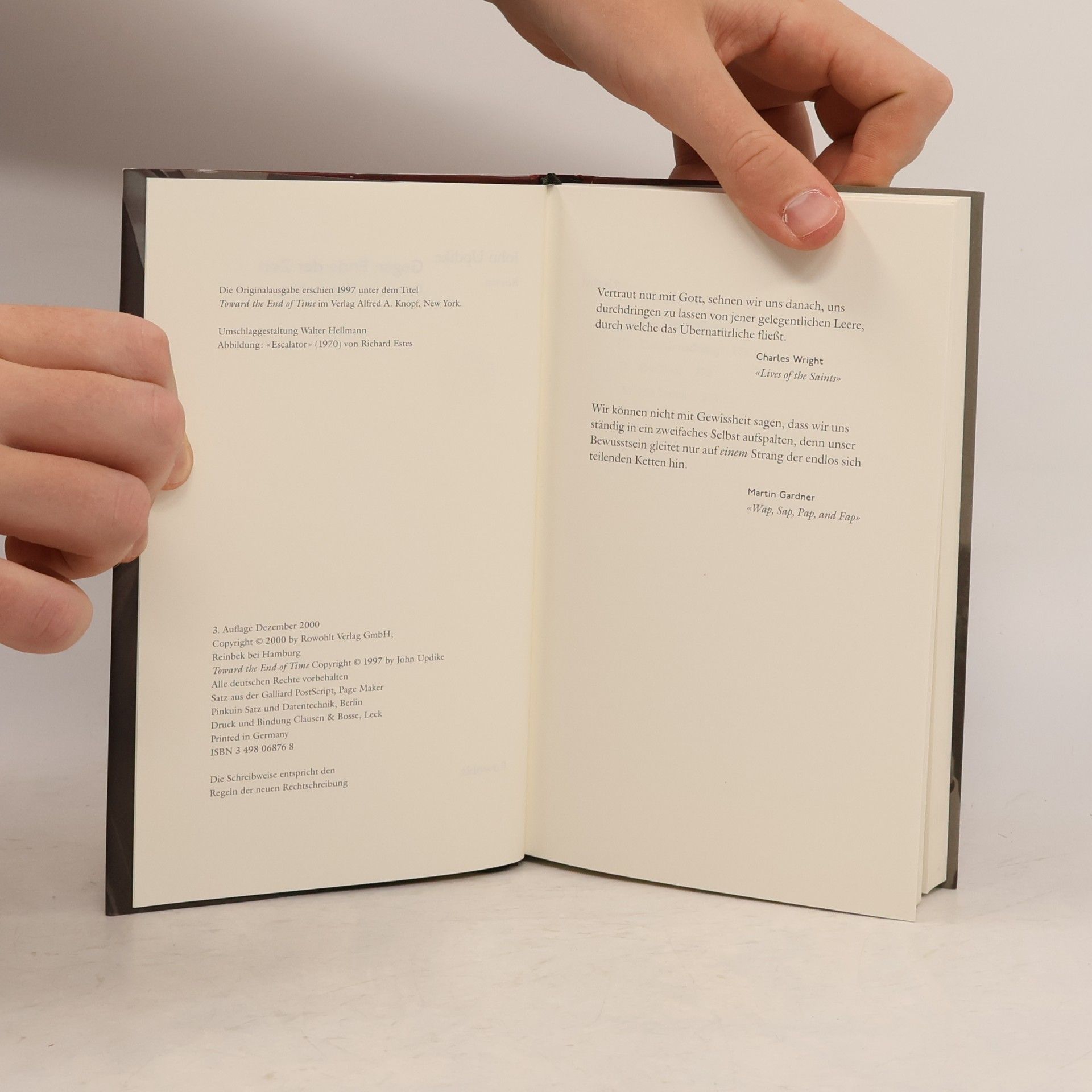 John Updike Gegen Ende der Zeit