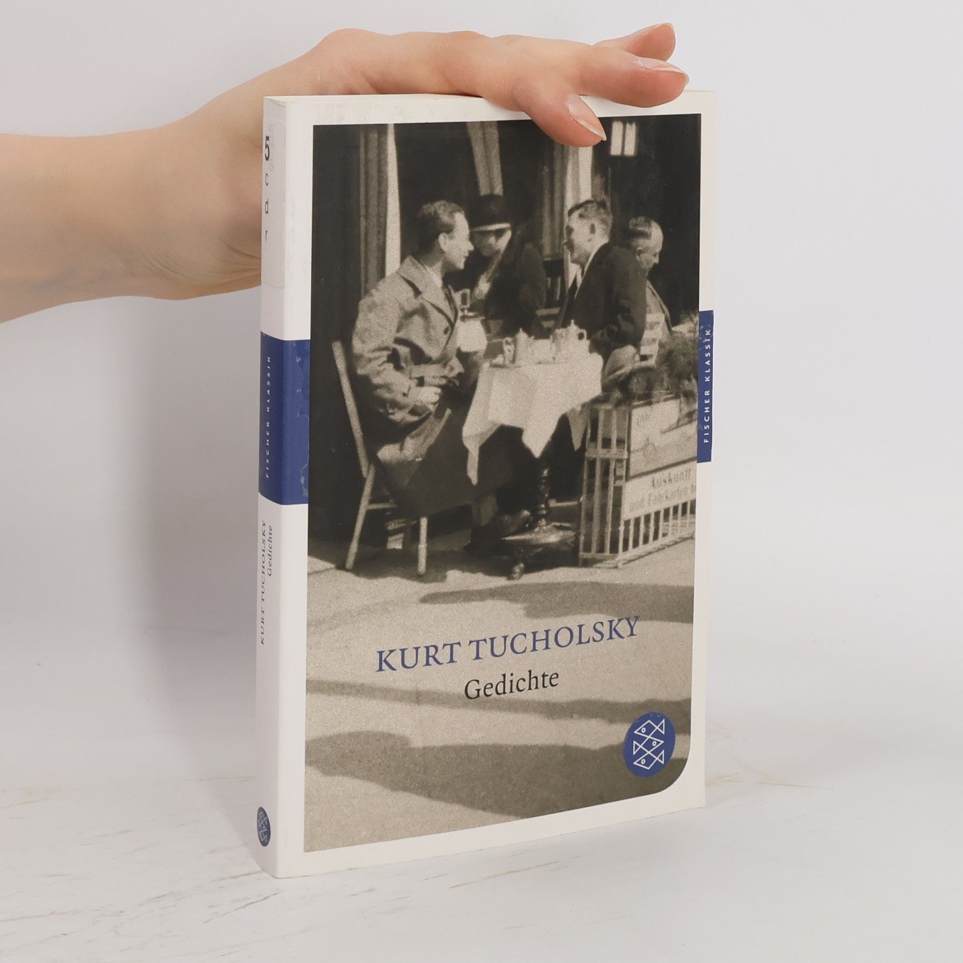 Kurt Tucholsky Fischer Klassik: Gedichte