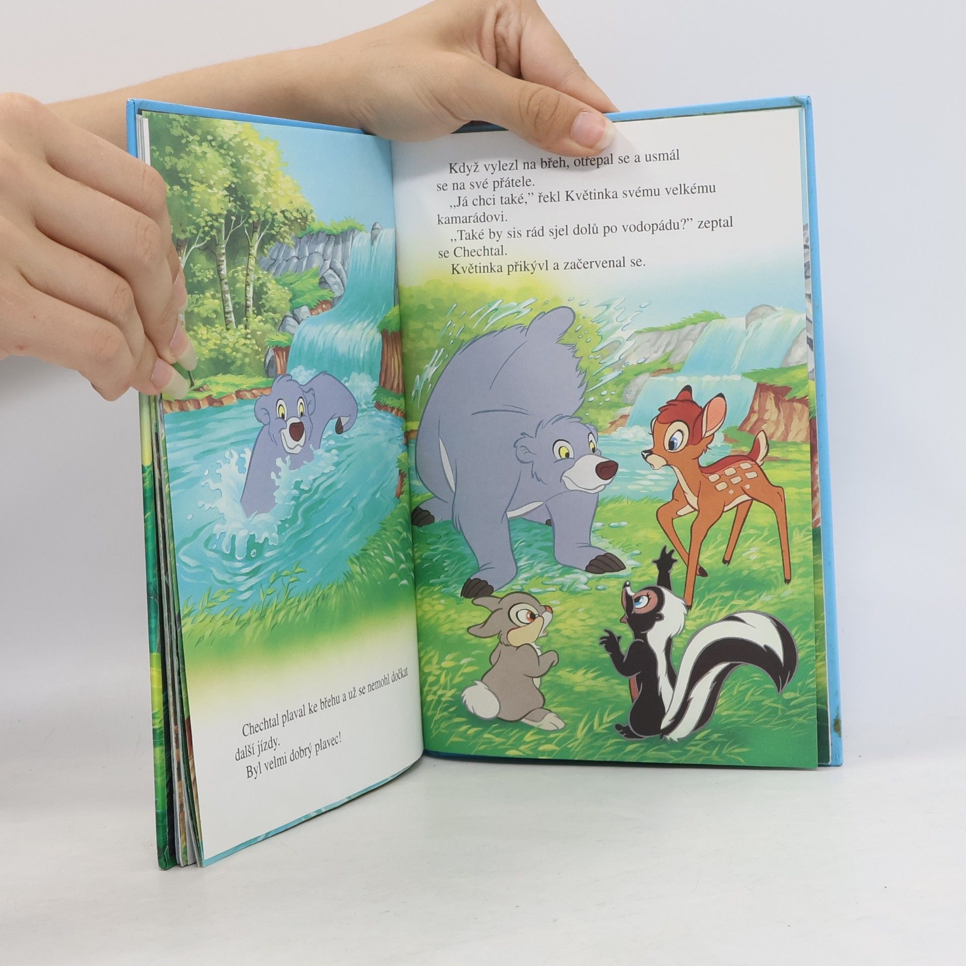 Walt Disney Bambi a nešťastný medvěd