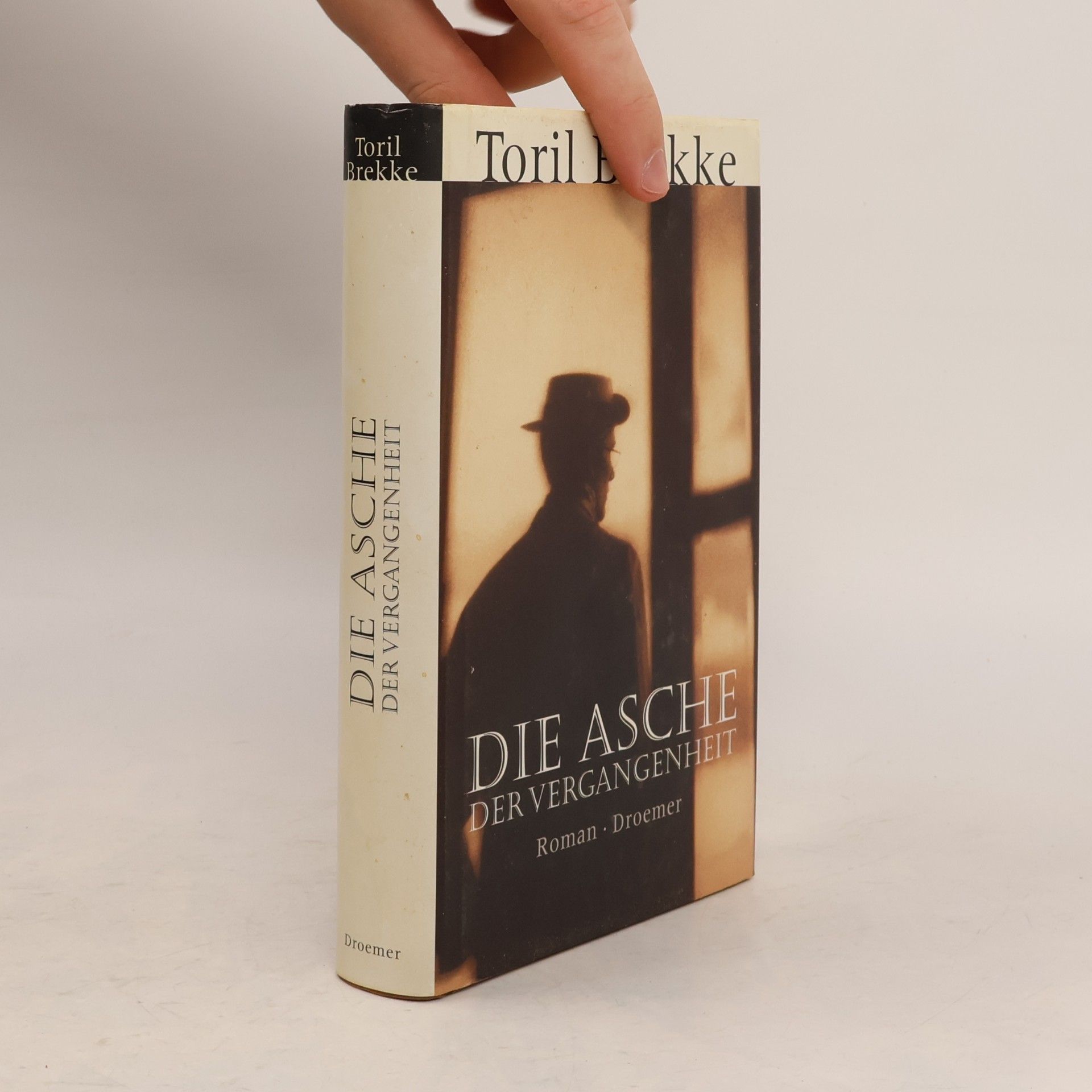 Toril Brekke Die Asche der Vergangenheit