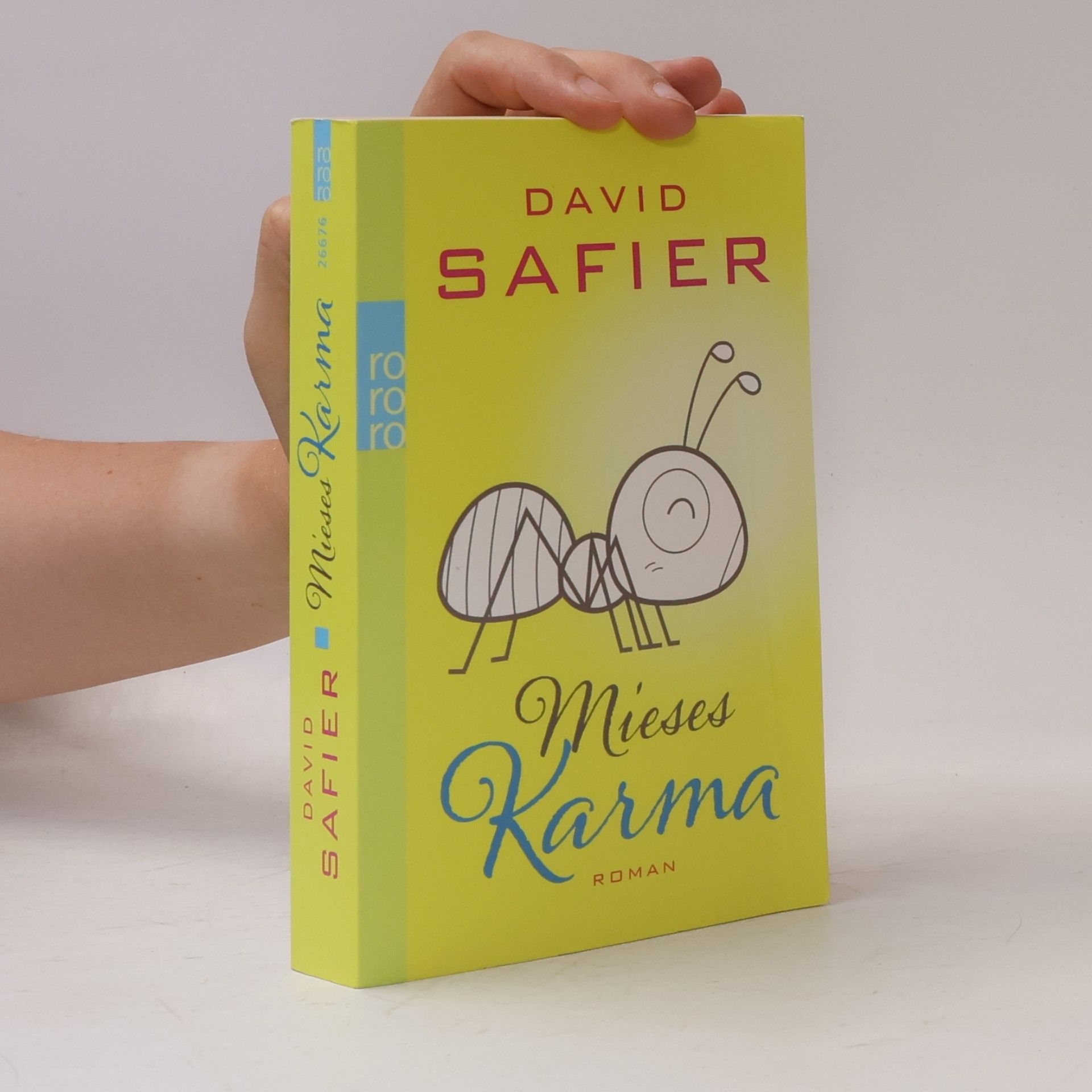 David Safier Mieses Karma
