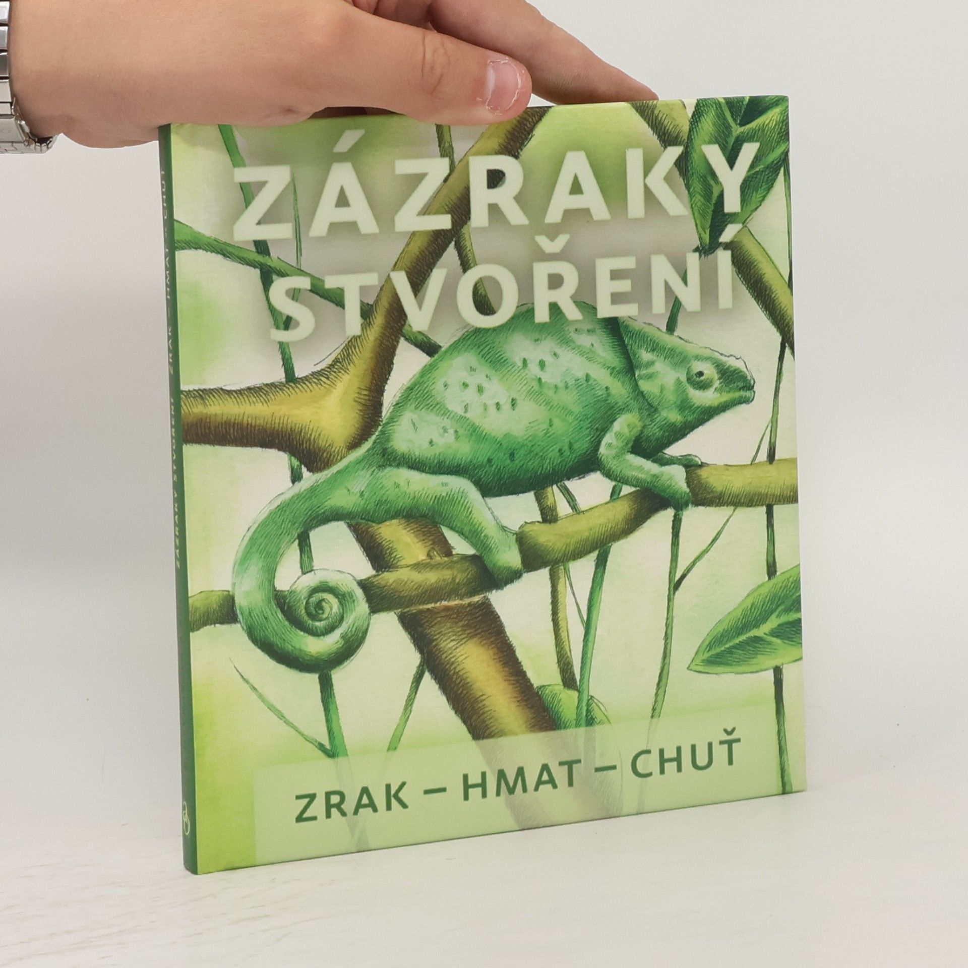 Michaela Hrachovcová Zázraky stvoření