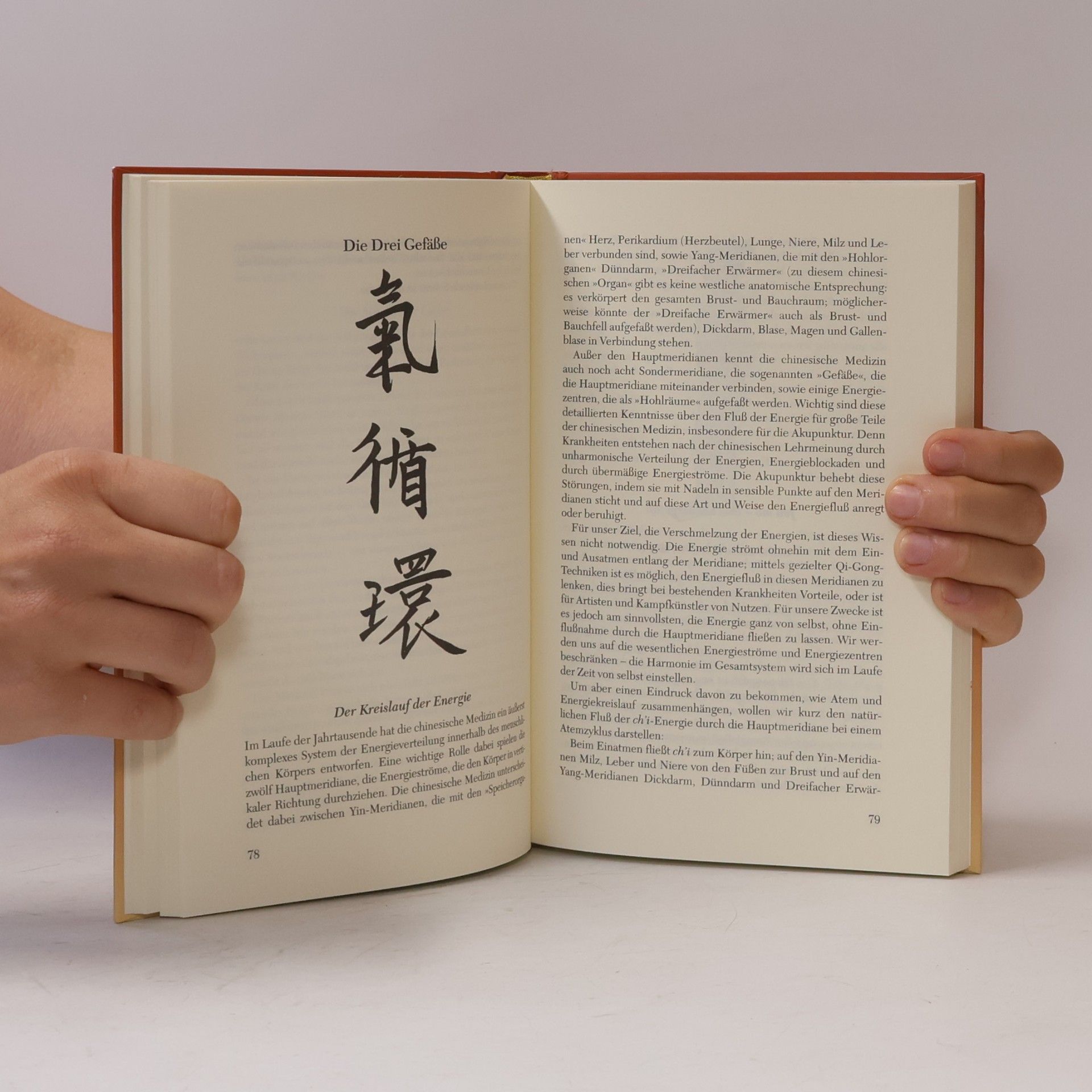 Ronald Schweppe Tao und Unsterblichkeit