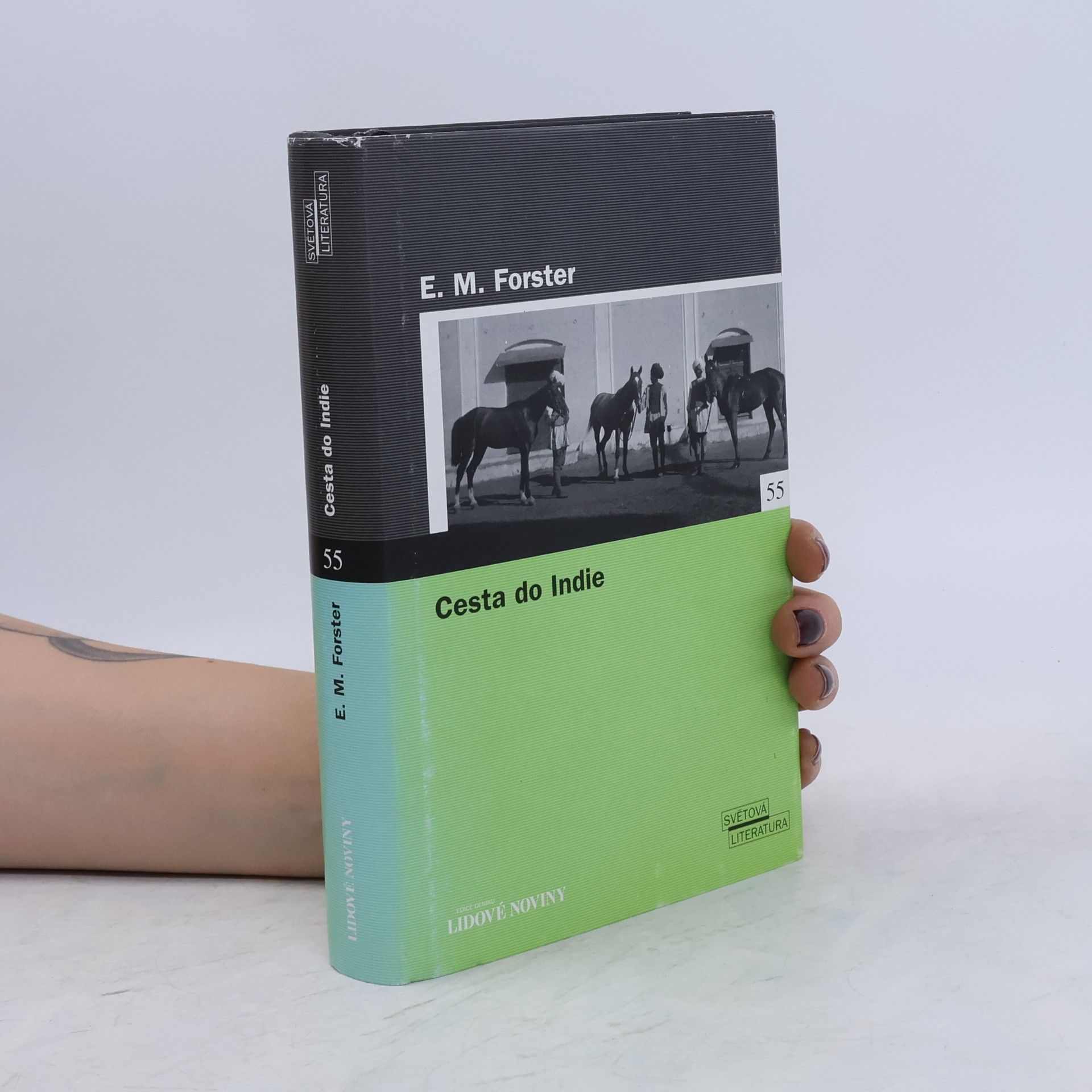 E. M. Forster Cesta do Indie