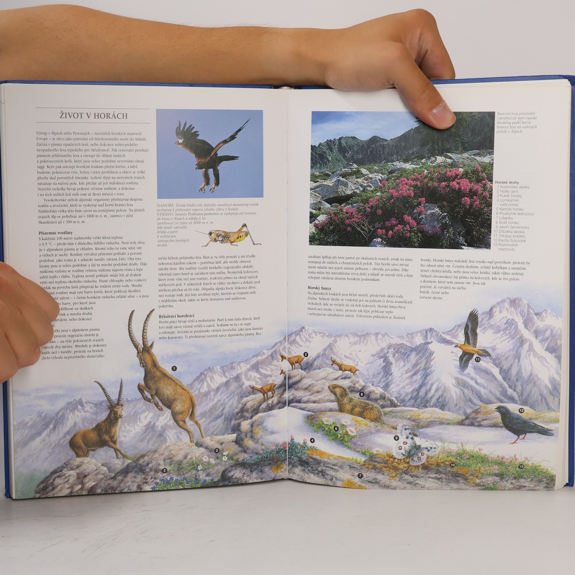 Michael Chinery Flóra a fauna Evropy