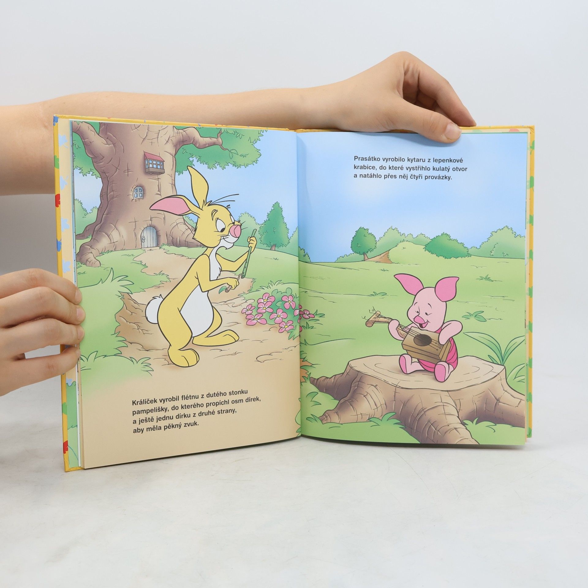 Walt Disney Medvídek Pú - Kouzelné zaklínadlo