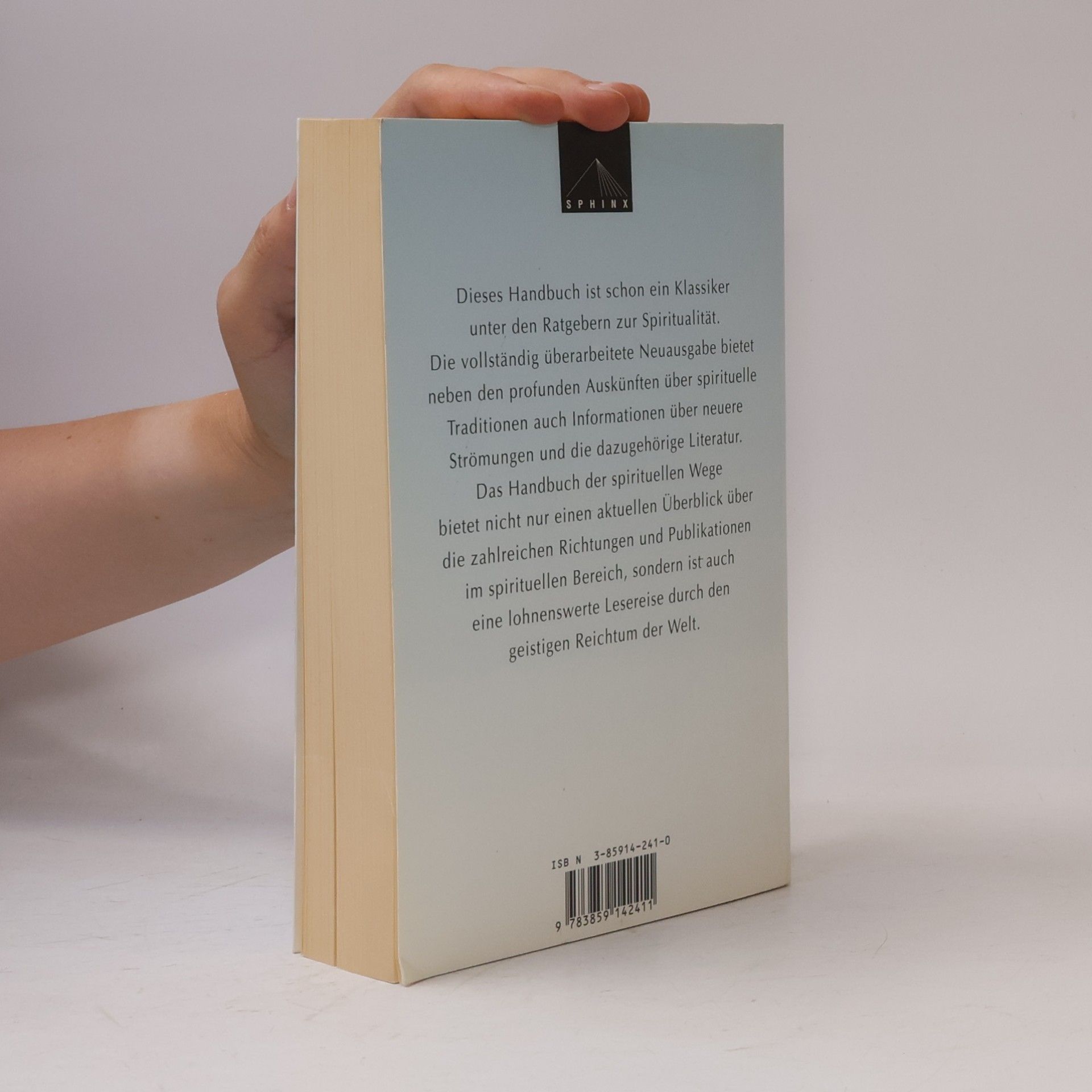 Bruno Martin Handbuch der spirituellen Wege