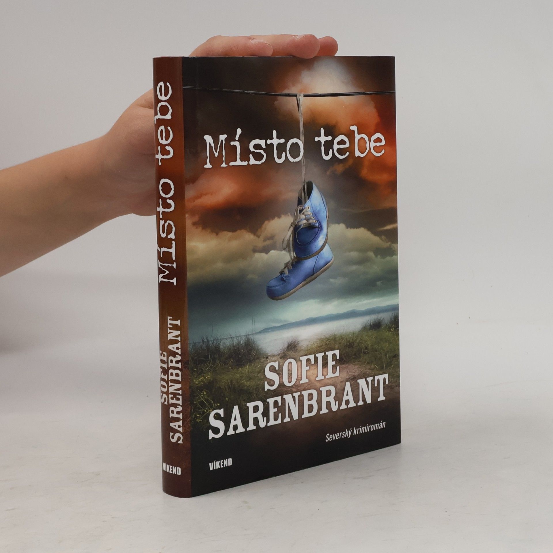 Sofie Sarenbrant Místo tebe